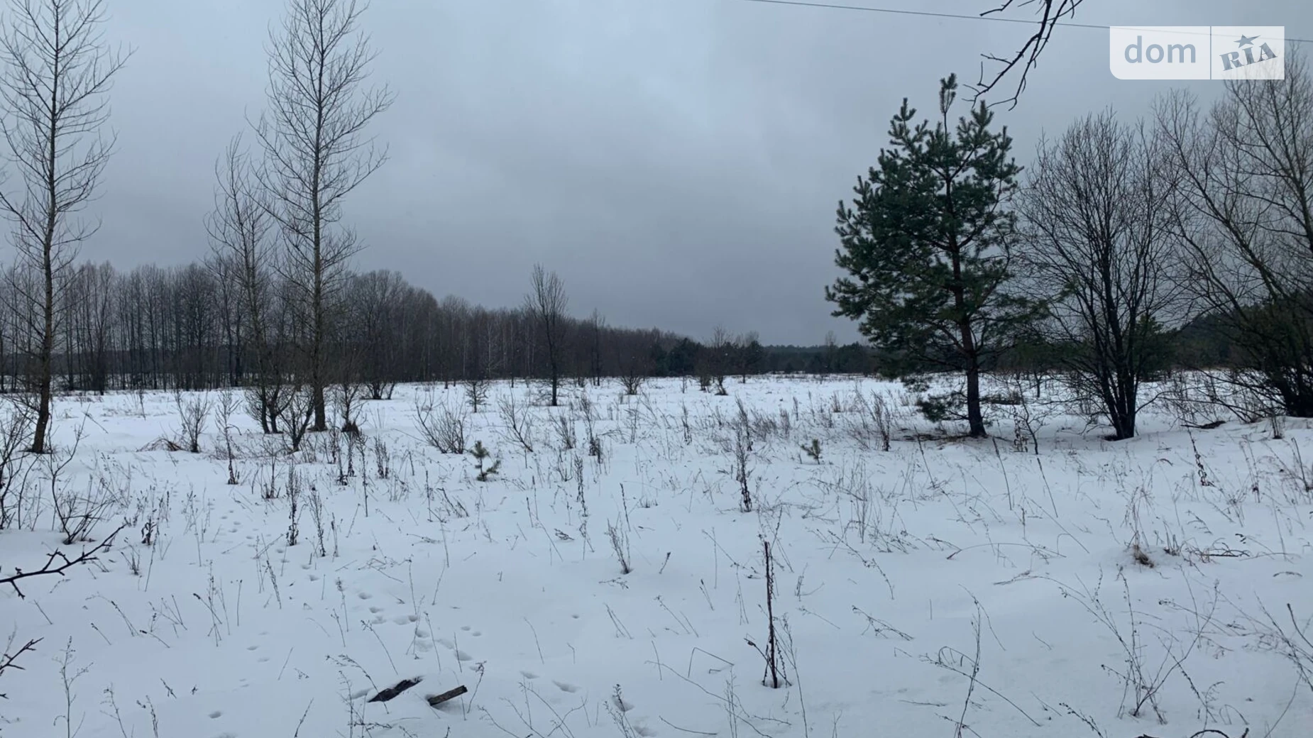 Сдается в аренду земельный участок 8.0437 соток в  области,  - фото 2