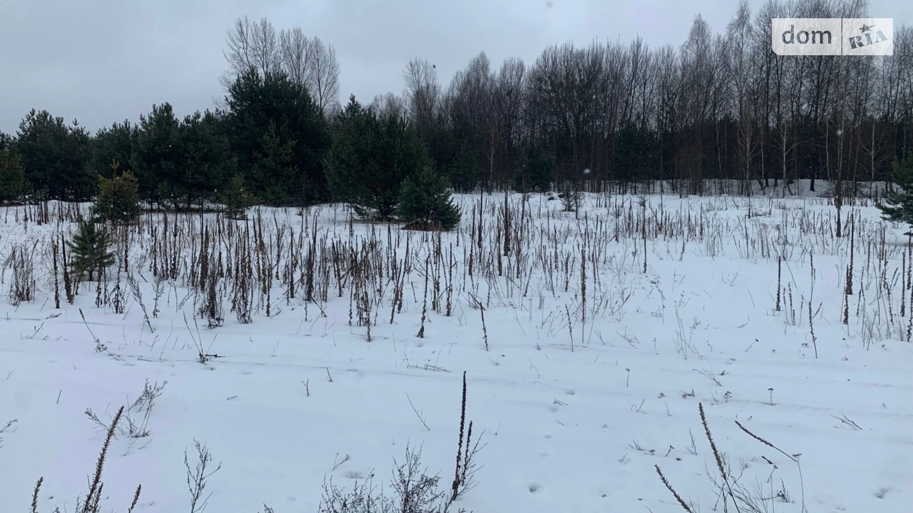 Сдается в аренду земельный участок 8.0437 соток в  области,  - фото 3