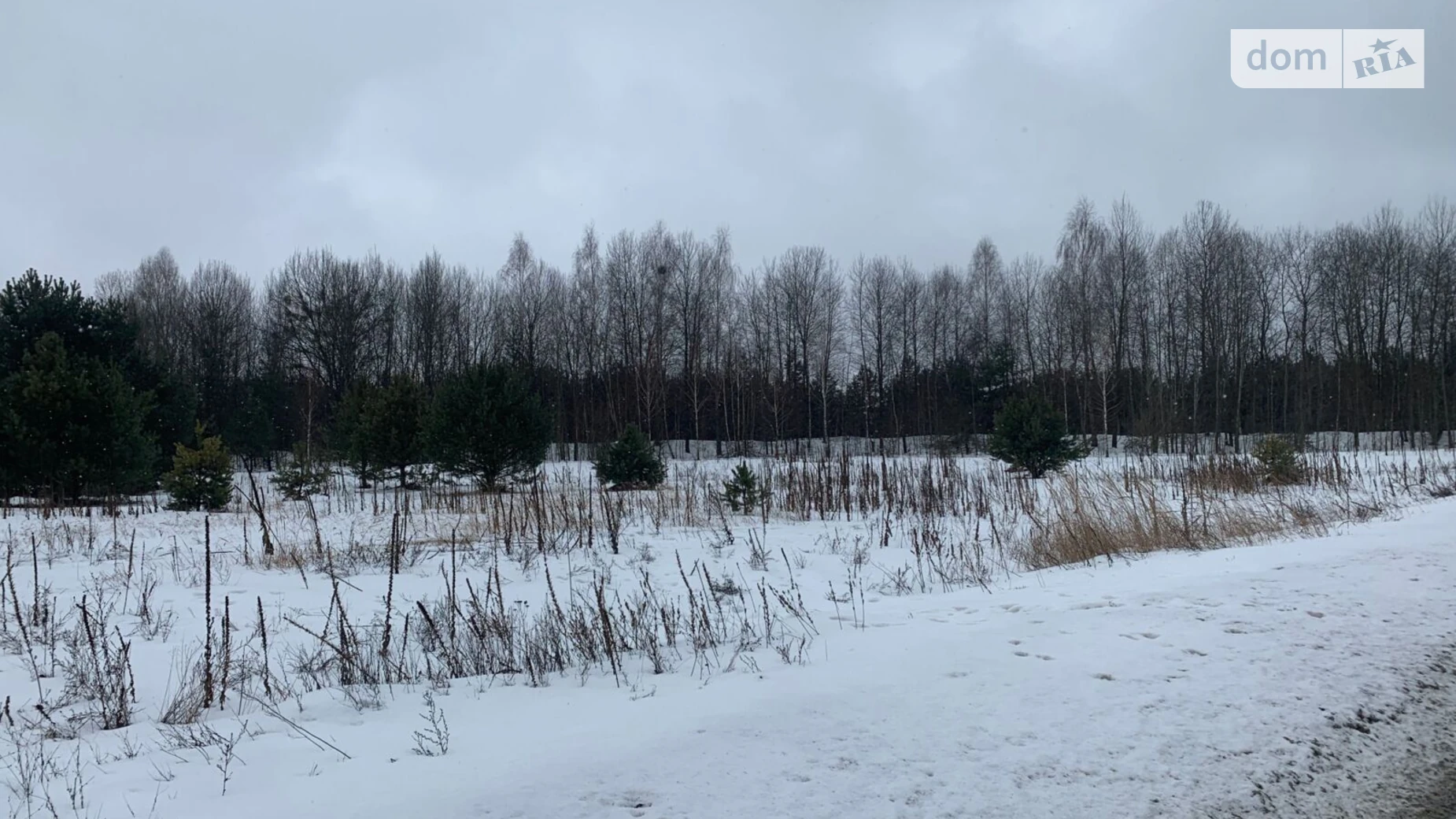 Сдается в аренду земельный участок 8.0437 соток в  области,  - фото 4