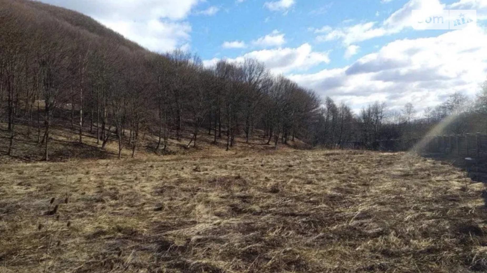 Продається земельна ділянка 81 соток у Закарпатській області, цена: 4500 € - фото 2