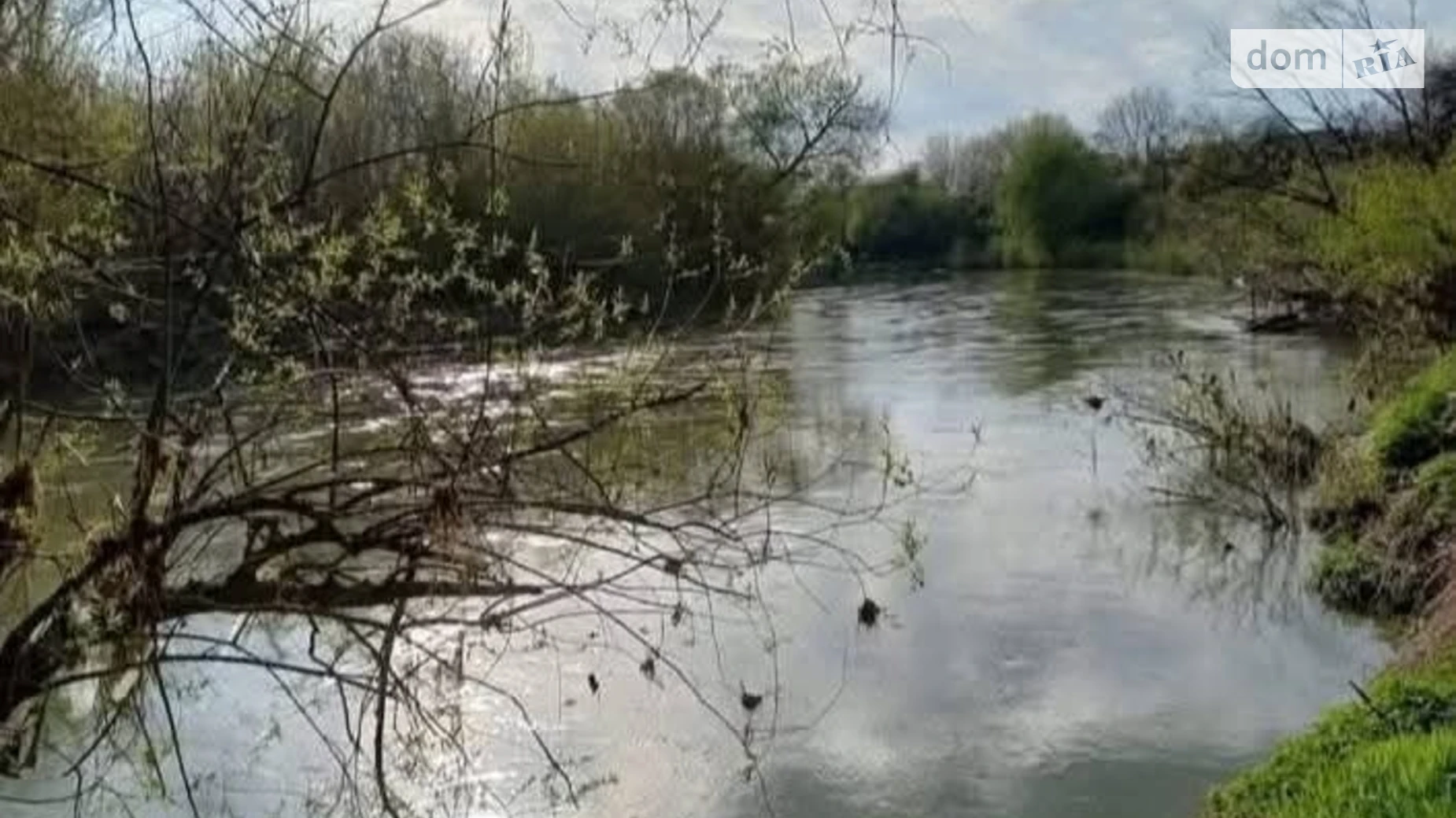 Продается земельный участок 650 соток в Закарпатской области, цена: 28000 $ - фото 4