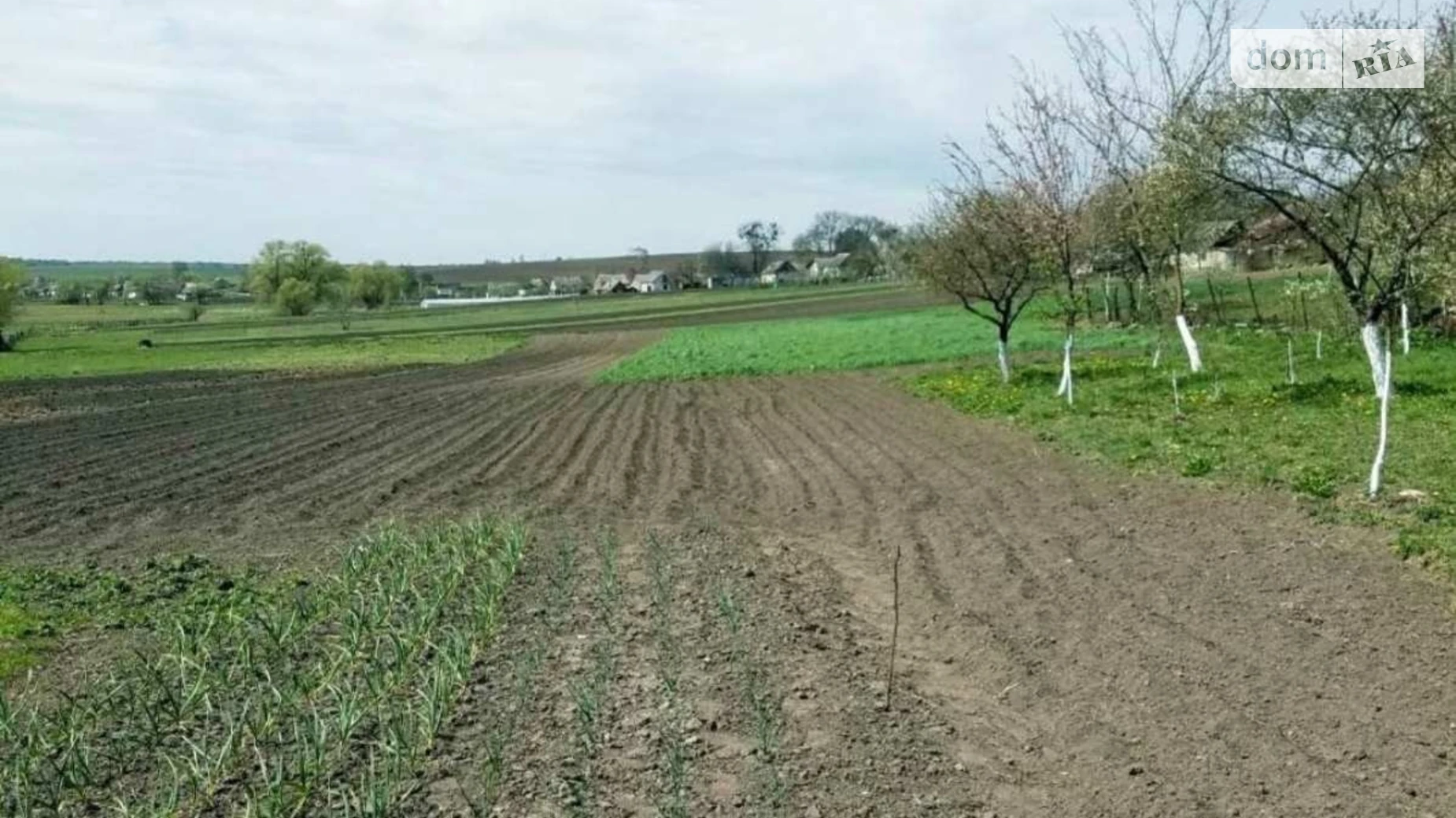 Продается одноэтажный дом 90 кв. м с участком, цена: 16900 $ - фото 3