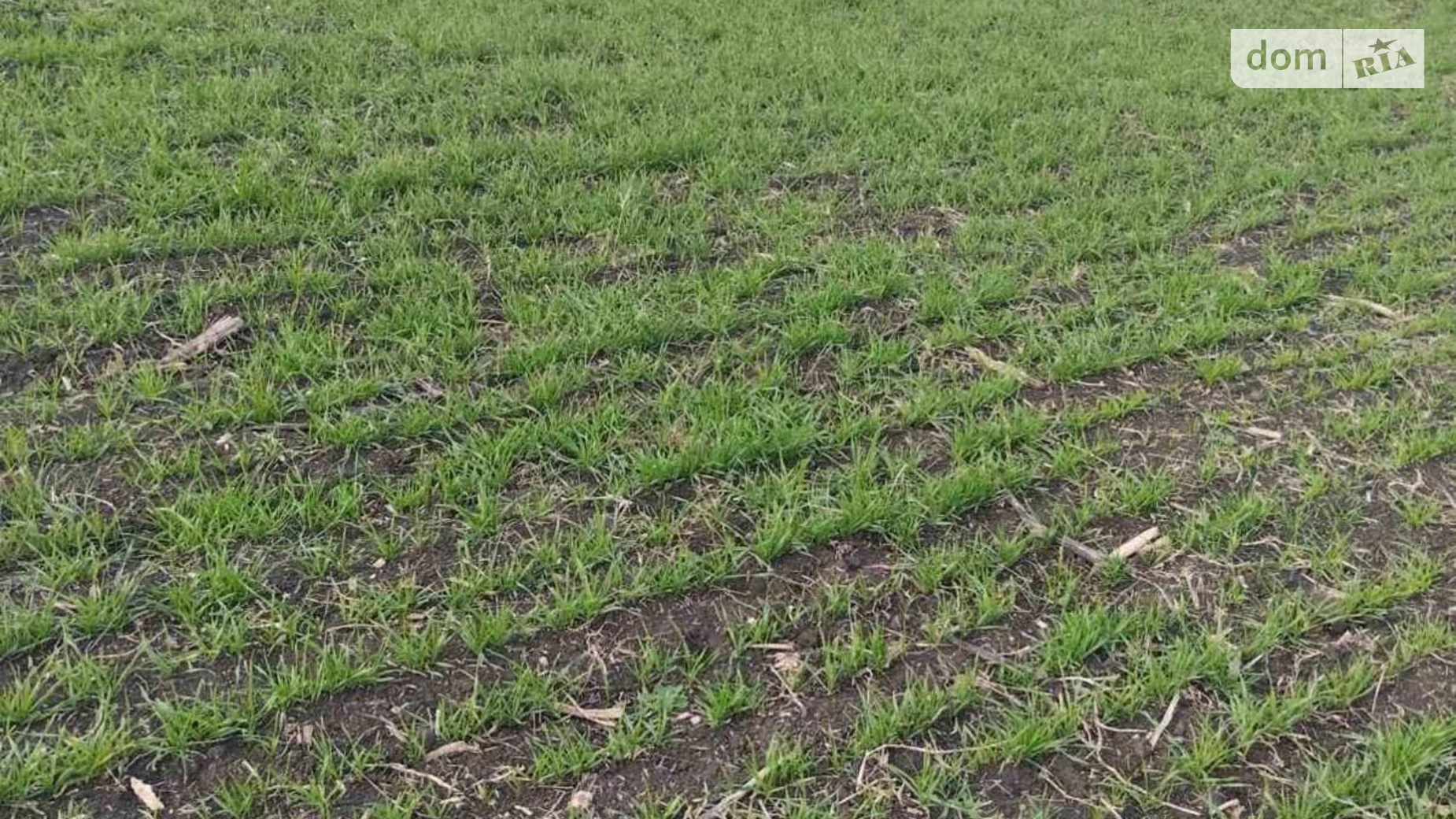 Васильевка (Фрунзовка), цена: 28305 грн - фото 2