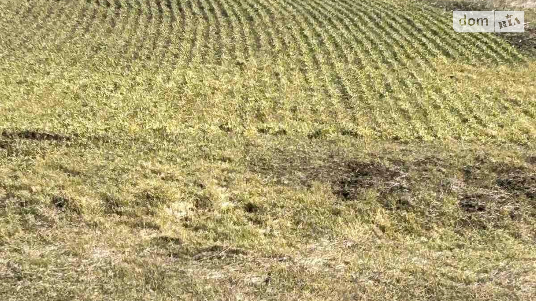 Васильевка (Фрунзовка), цена: 35810 грн - фото 2