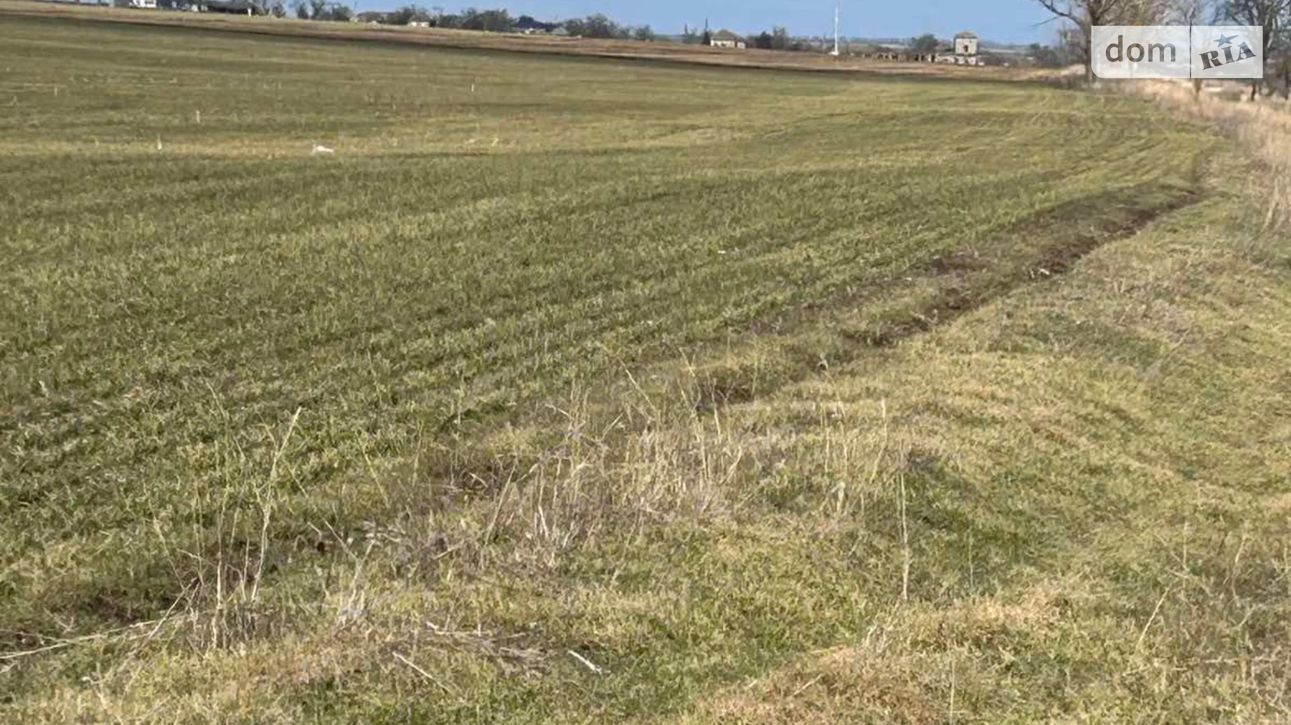 Васильевка (Фрунзовка), цена: 27115 грн - фото 2