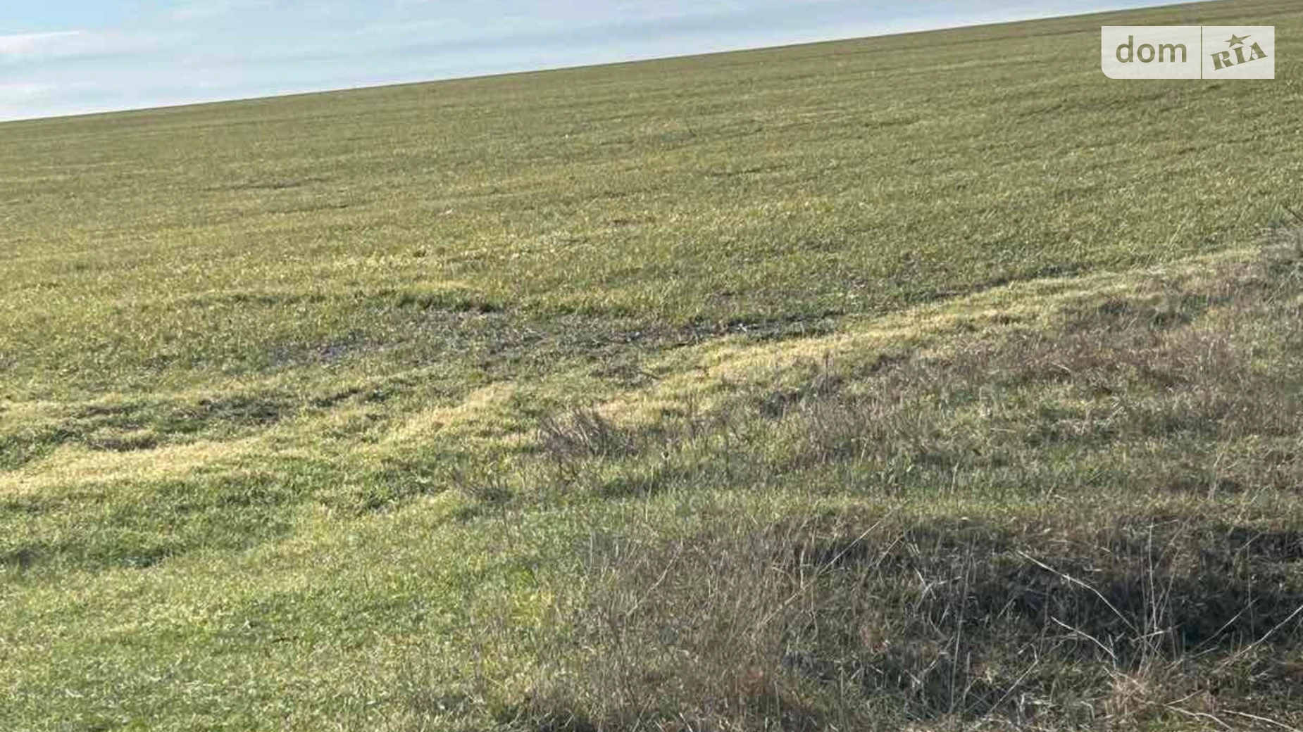 Васильевка (Фрунзовка), цена: 24738 грн - фото 2