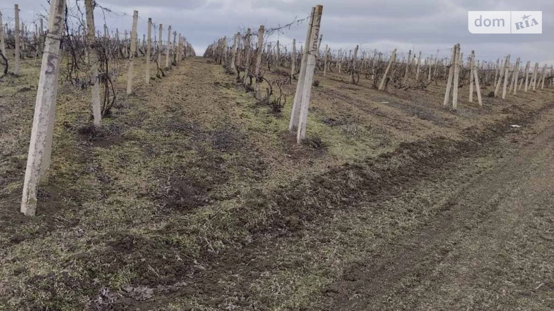 Васильевка (Фрунзовка), цена: 6670 грн - фото 2