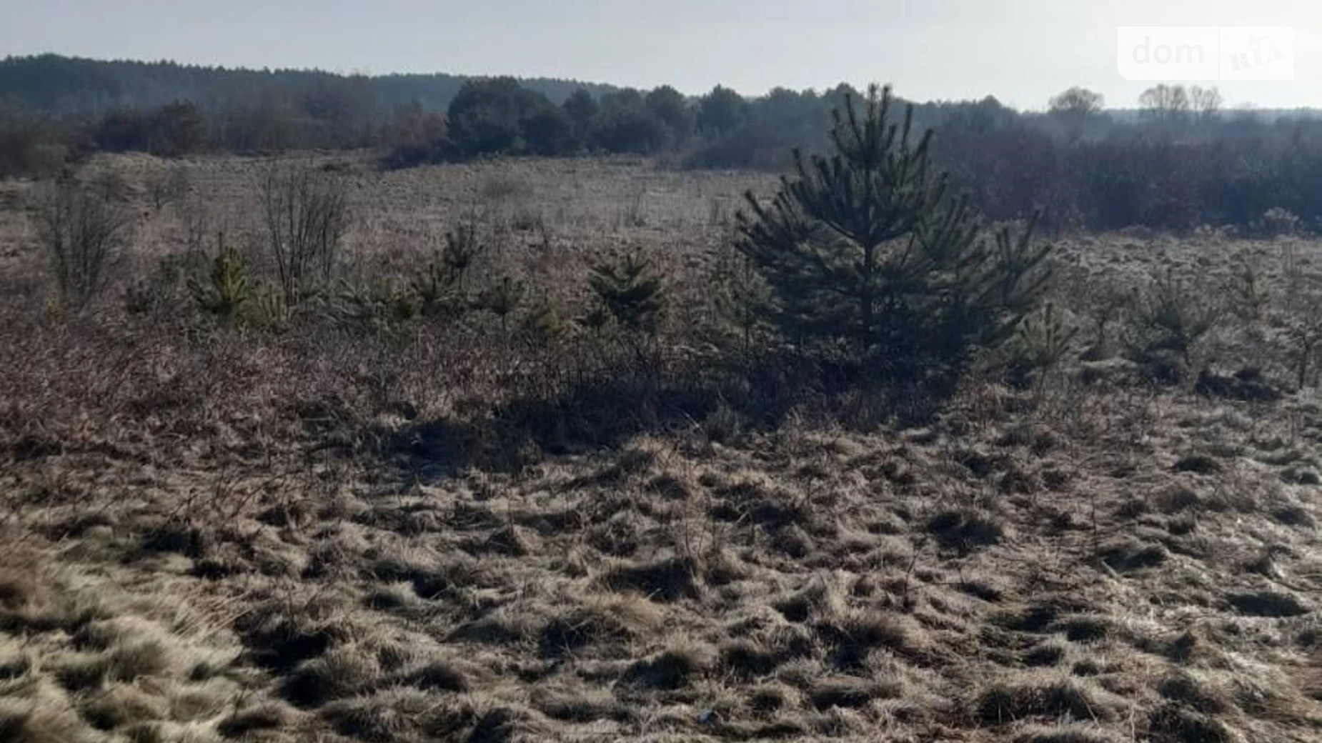 Здається в оренду земельна ділянка 20 соток у Львівській області, цена: 35383 грн - фото 2