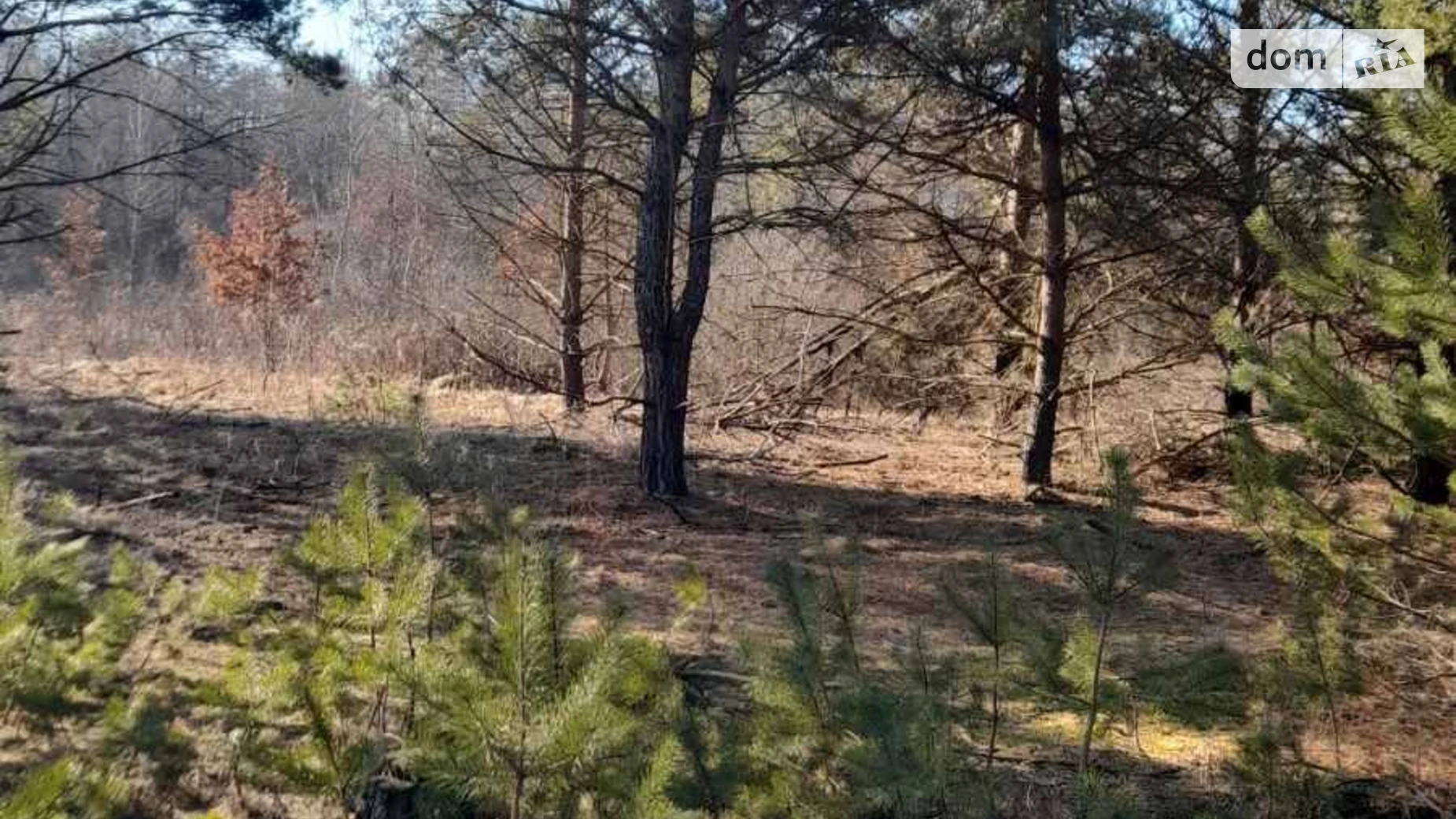 Долгомостиская, цена: 29105 грн - фото 2