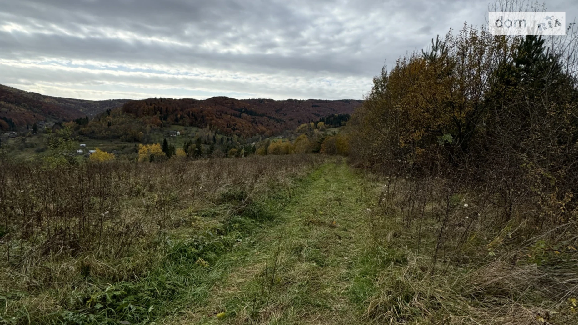 Орів, цена: 41999 $ - фото 4