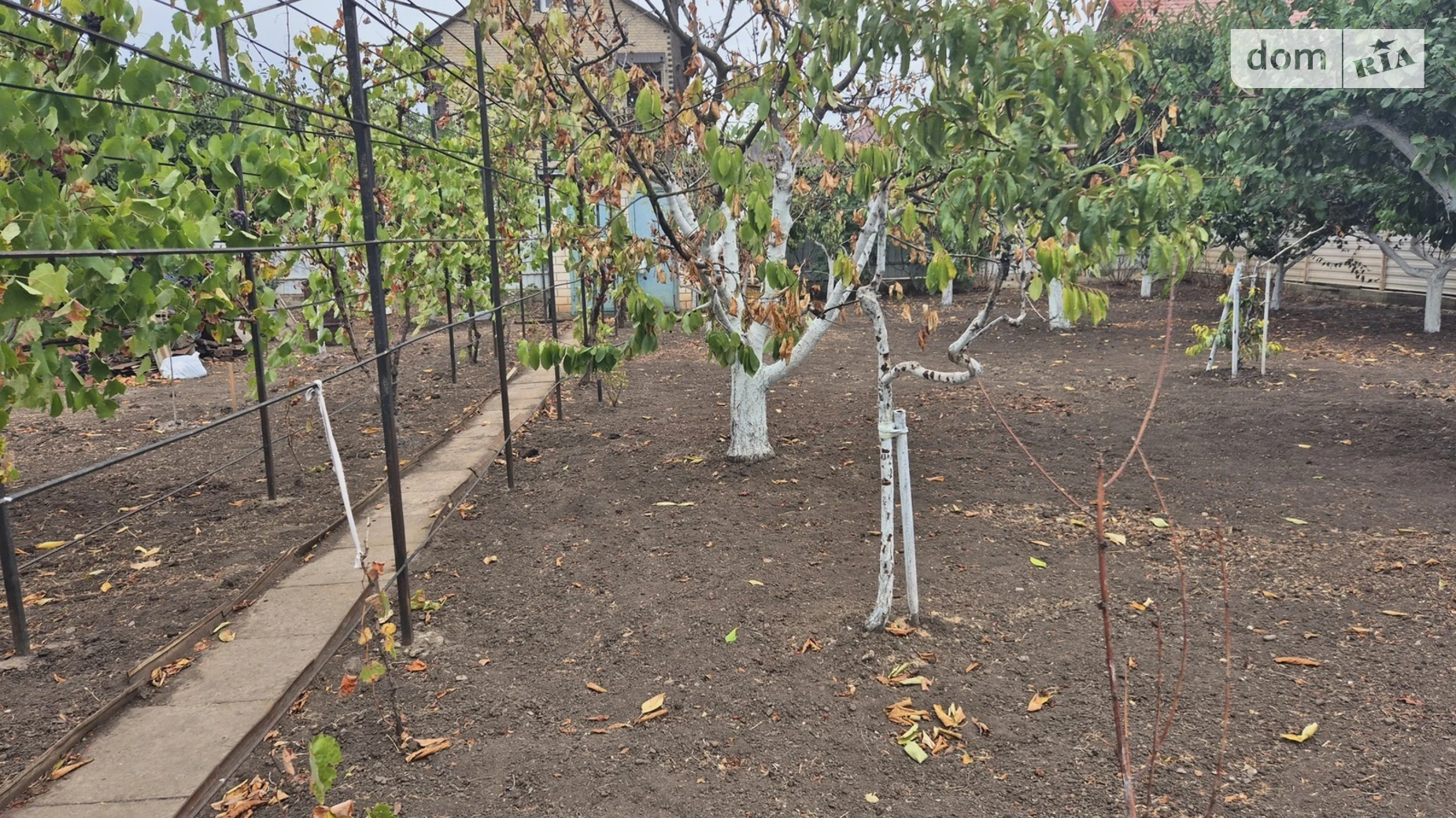 Продается земельный участок 6 соток в Одесской области, цена: 18000 $ - фото 2