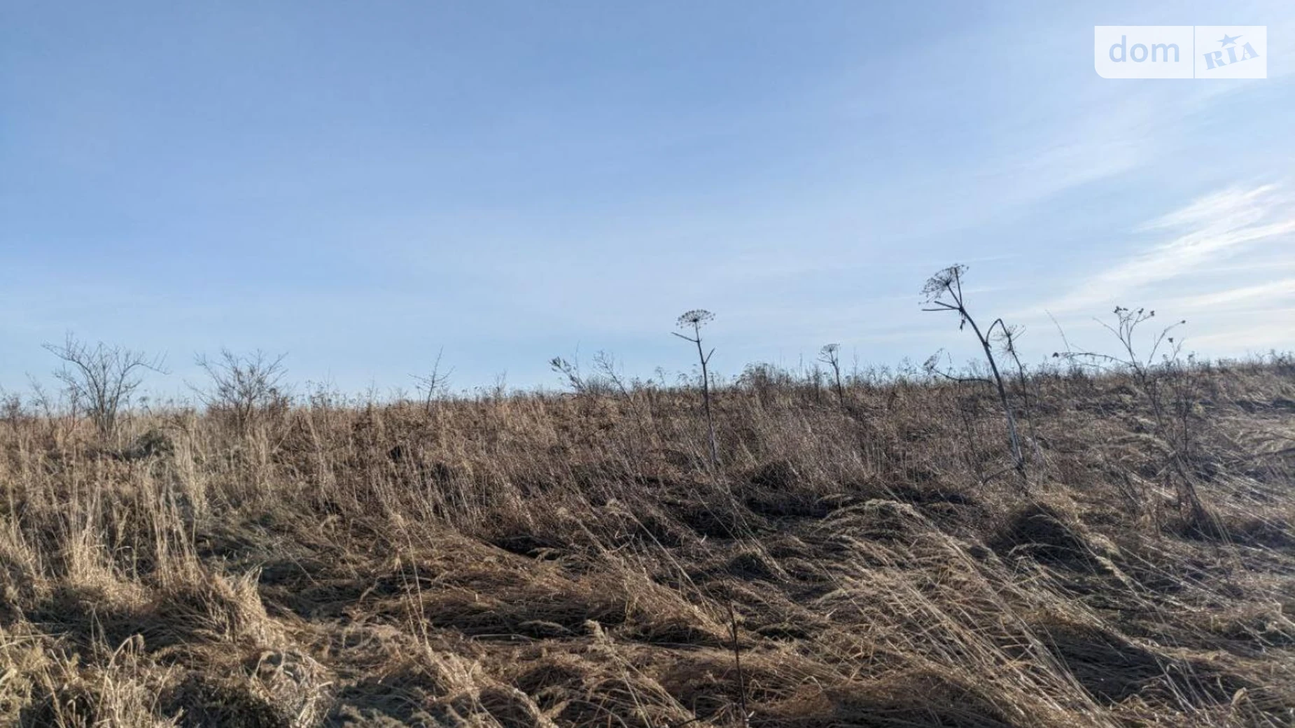 Продается земельный участок 10 соток в Ивано-Франковской области, цена: 8000 $ - фото 5