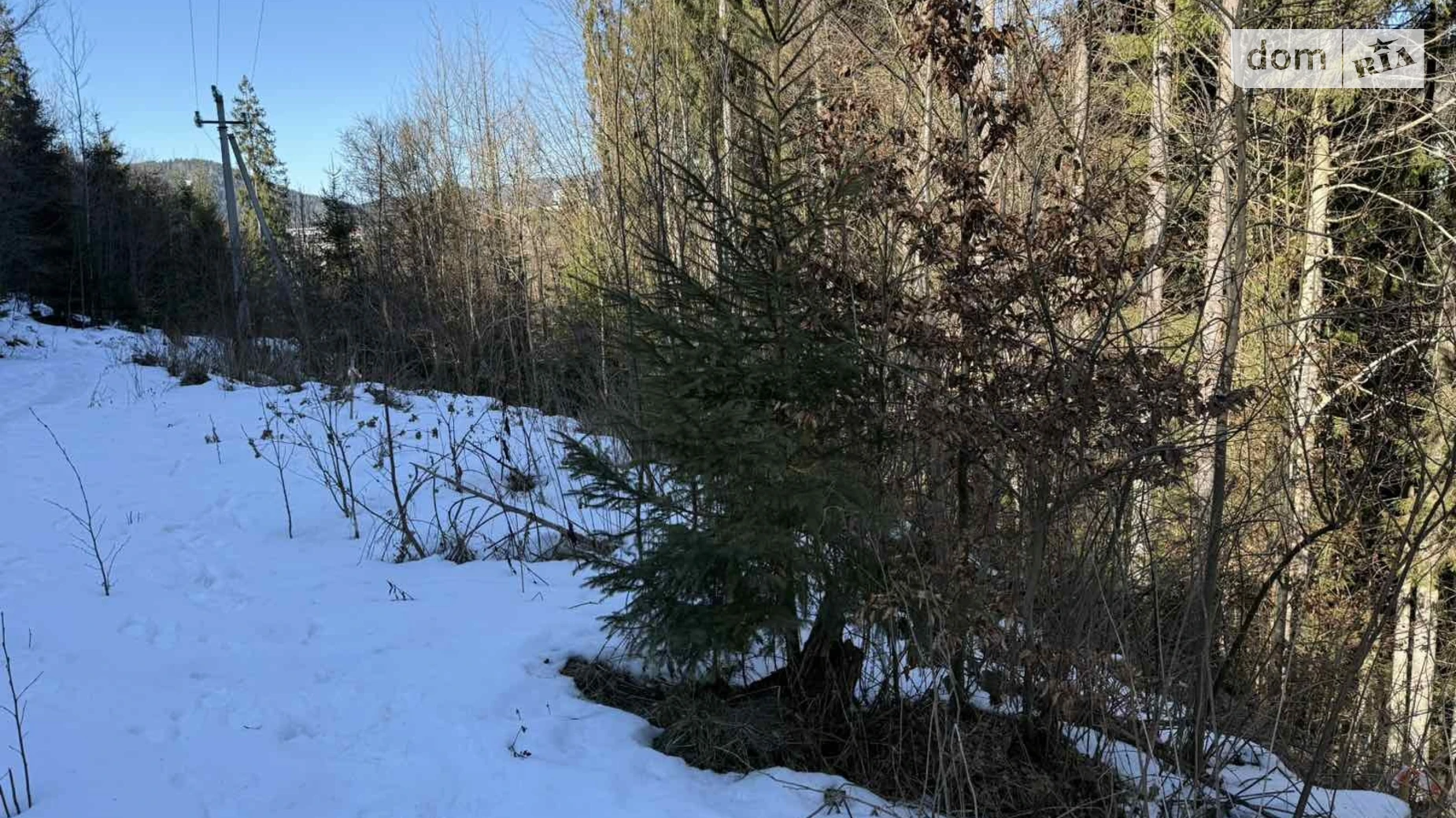 Продается земельный участок 17 соток в Ивано-Франковской области, цена: 85000 € - фото 2