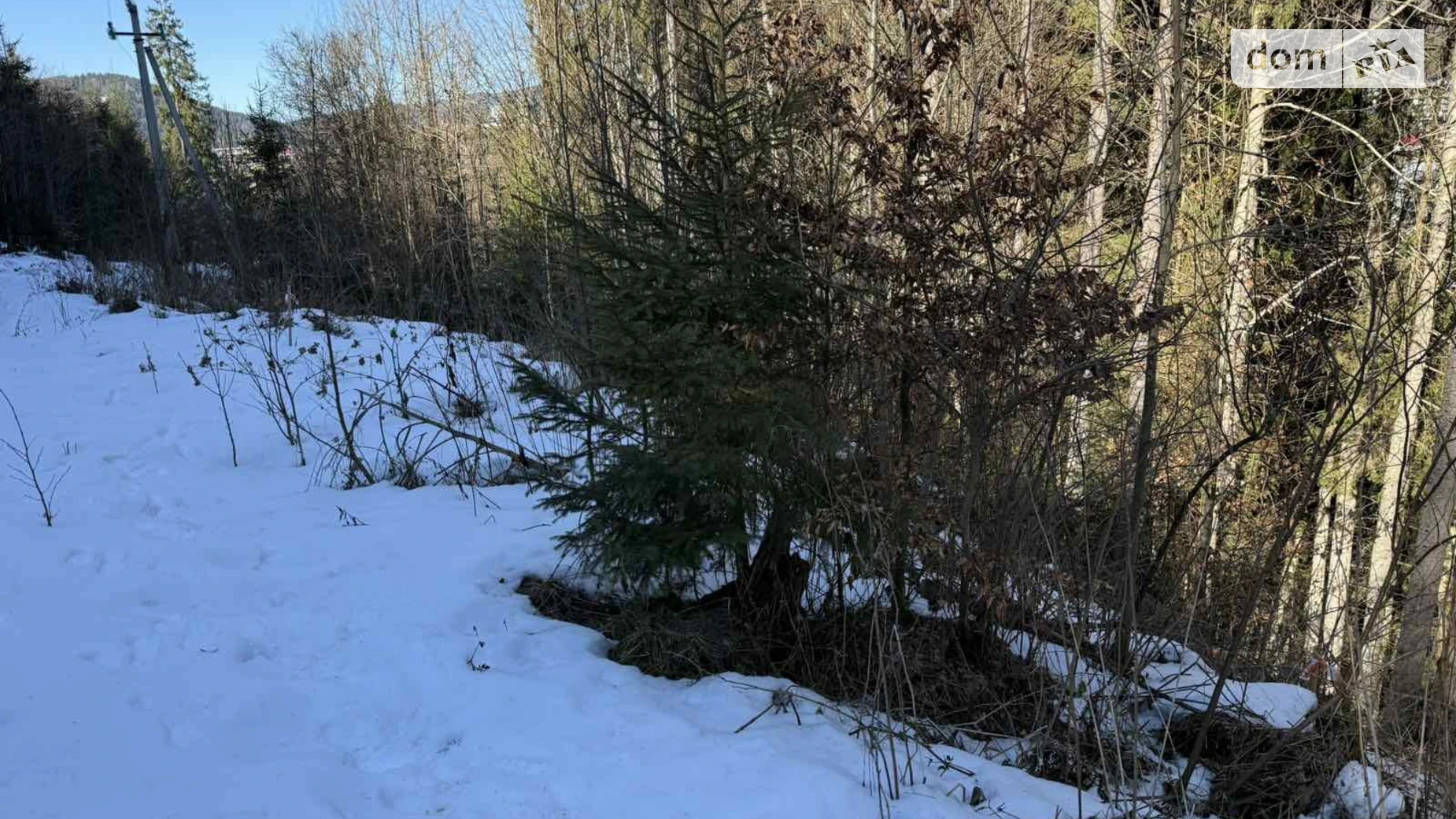 Продается земельный участок 17 соток в Ивано-Франковской области, цена: 85000 € - фото 3