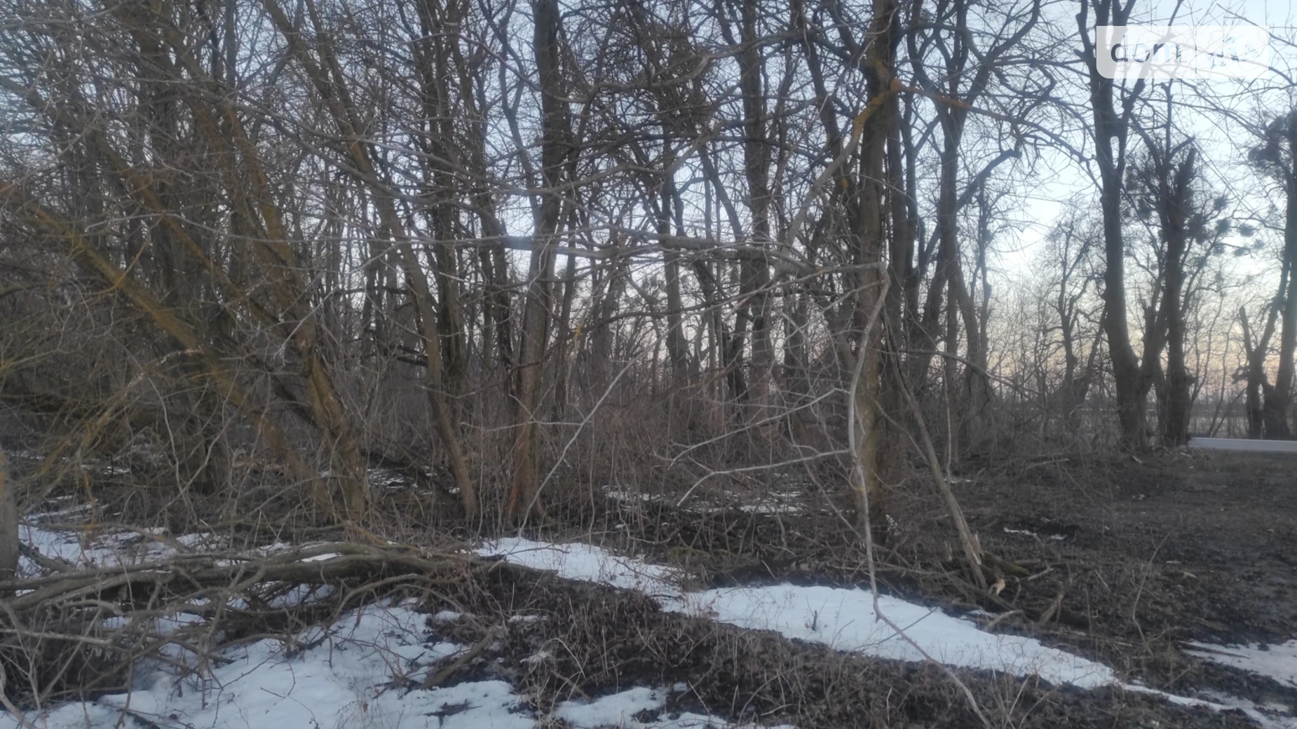 Писаревка (Винница), цена: 22000 $ - фото 5