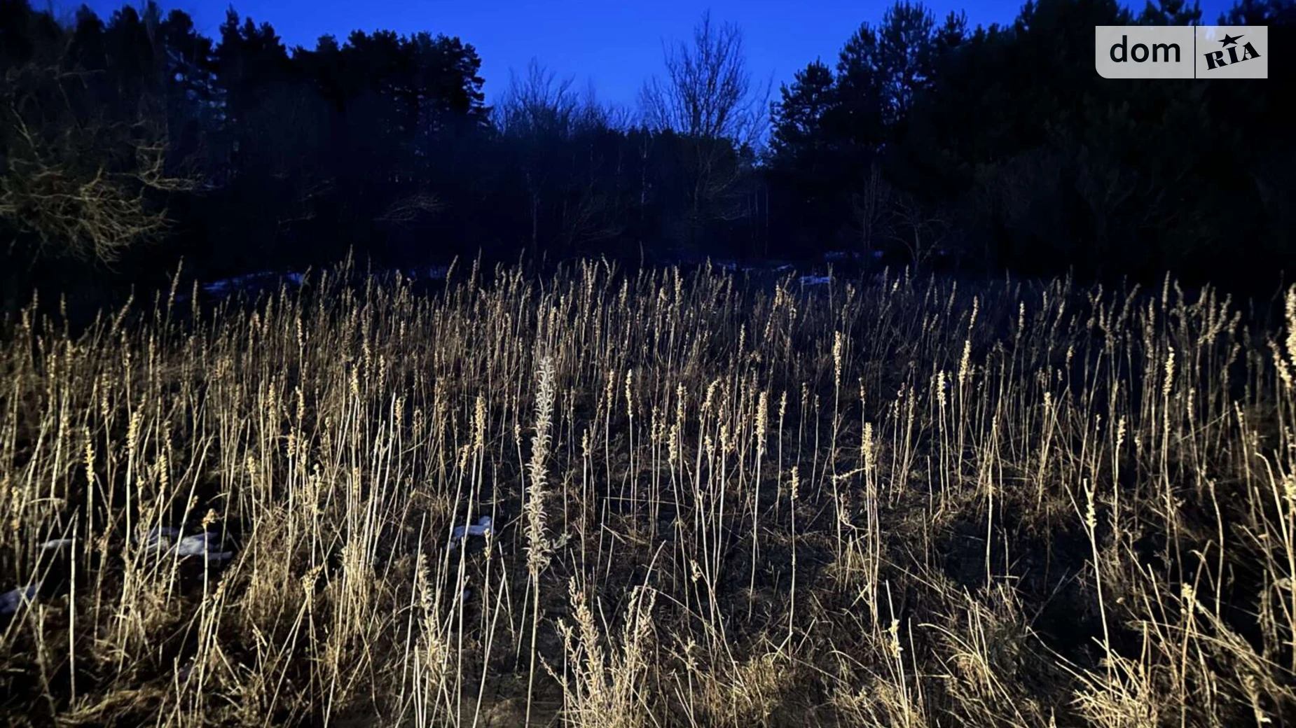 Вулиця Каштанова Лісопіль, цена: 4000 $ - фото 2