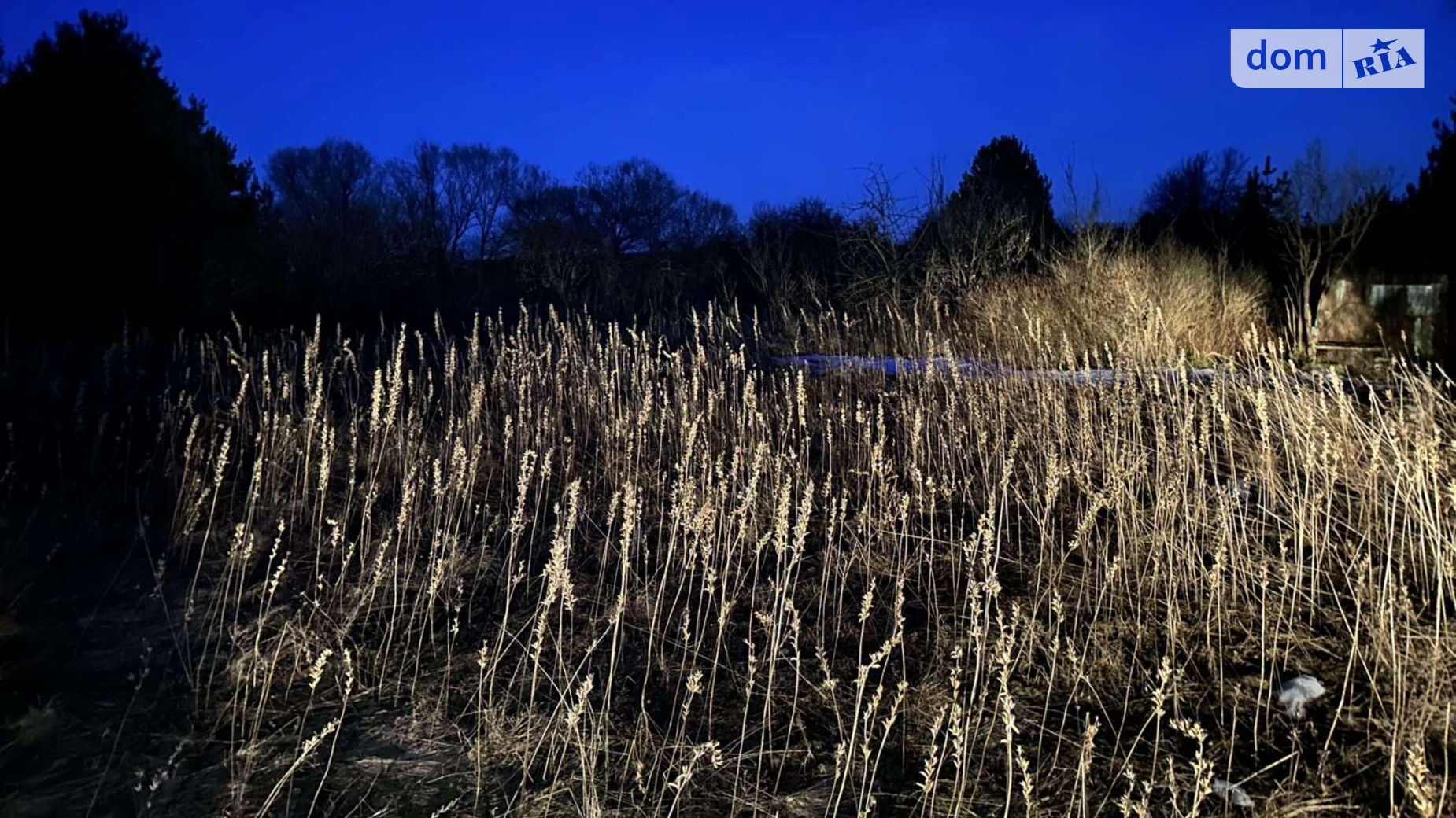 Вулиця Каштанова Лісопіль, цена: 4000 $ - фото 2