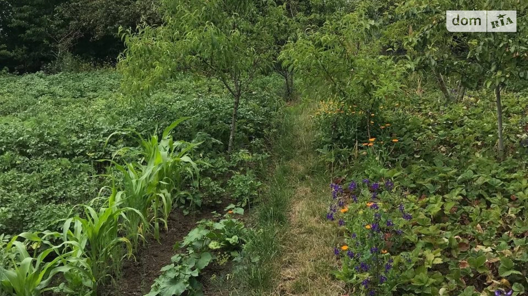 Продается земельный участок 12 соток в Хмельницкой области, цена: 18000 $ - фото 5