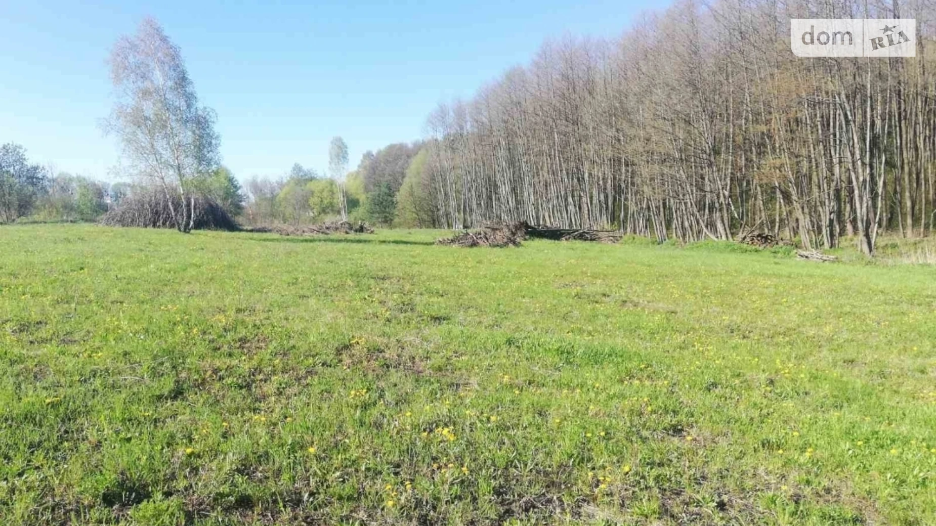 Стуфчинцы, цена: 190000 $ - фото 4