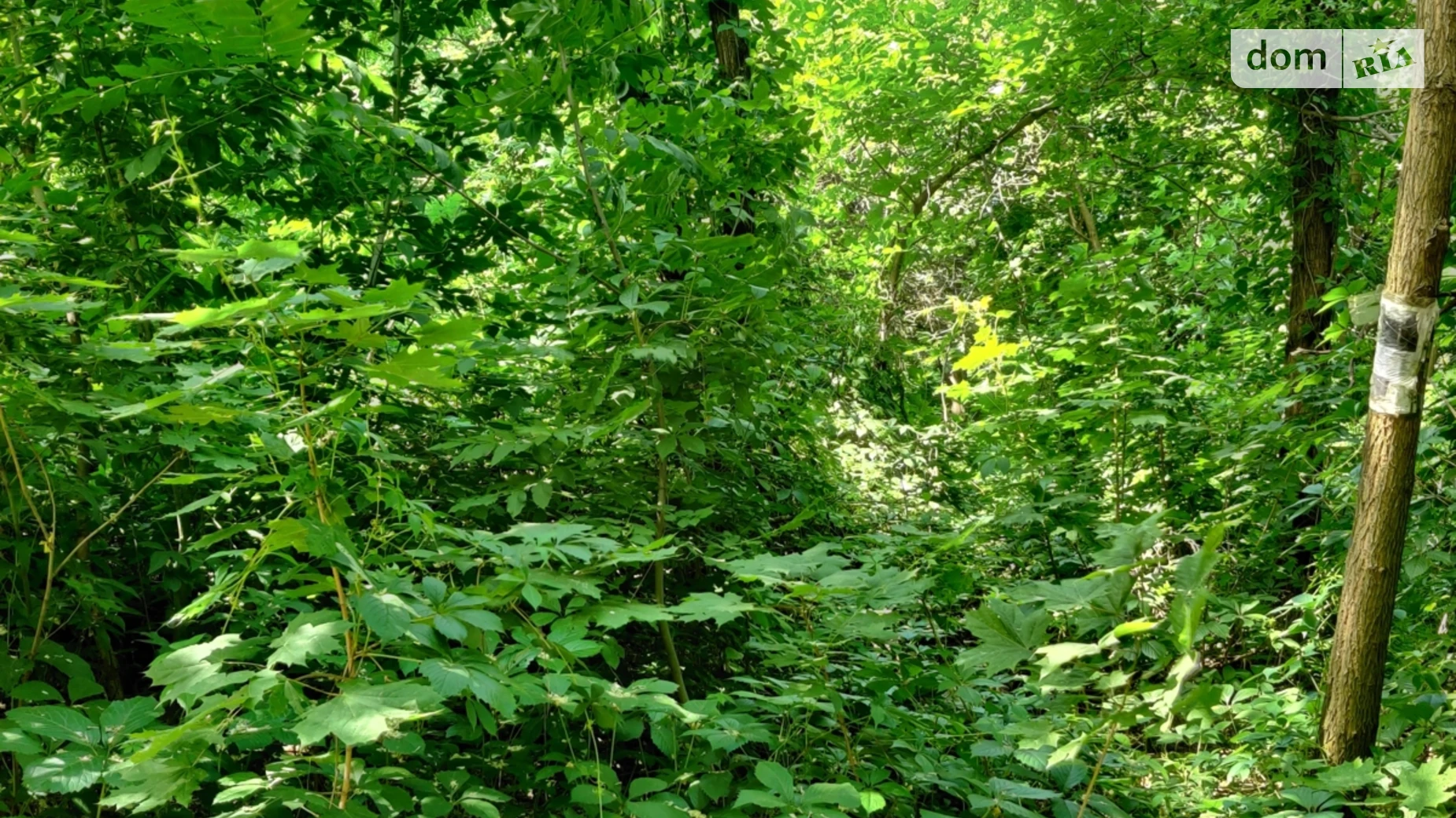 Продается земельный участок 10 соток в Киевской области, цена: 105000 $ - фото 2