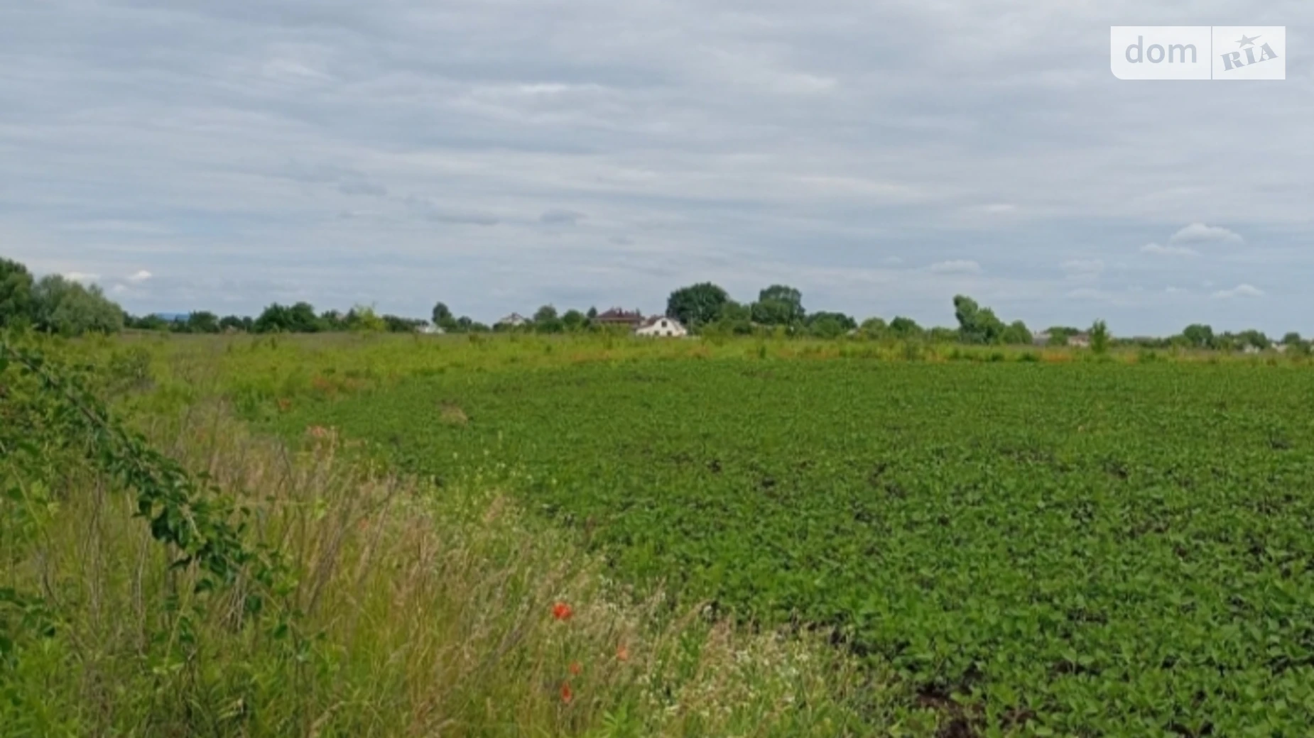 Продается земельный участок 12 соток в Житомирской области, цена: 4300 $ - фото 2