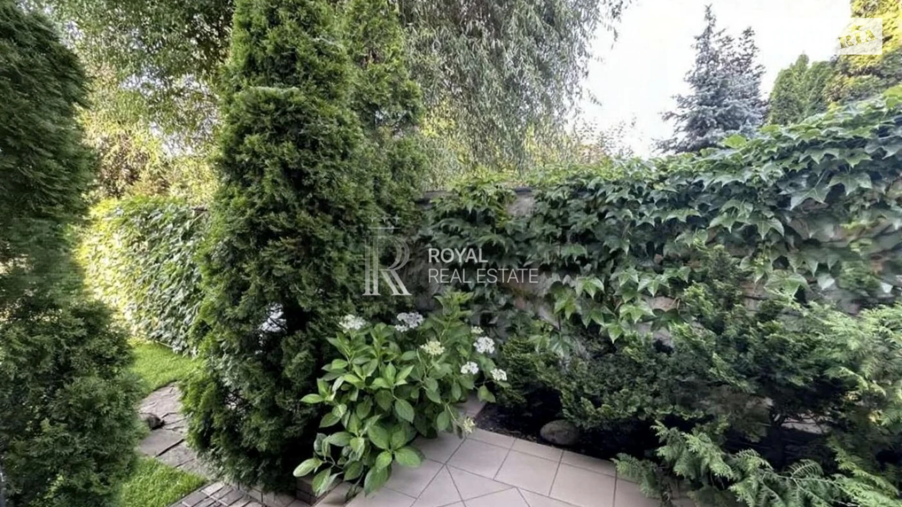 мас. Чайка, 143 Гнедин, цена: 169000 $ - фото 5