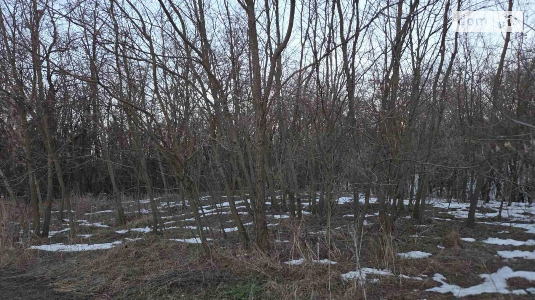 Продается земельный участок 10.01 соток в Киевской области, цена: 20000 $ - фото 3