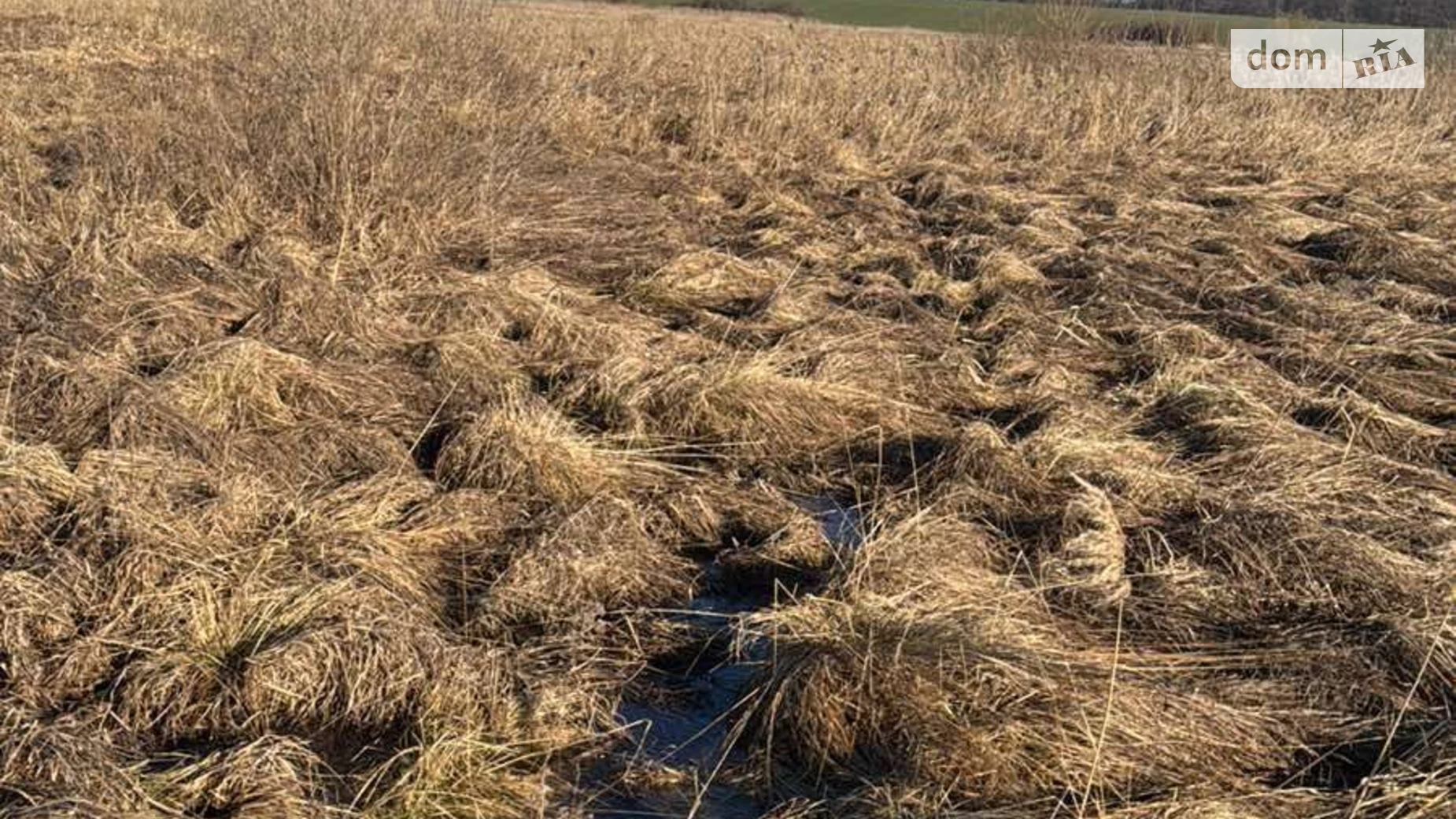 Здається в оренду земельна ділянка 17.2076 соток у Львівській області, цена: 19927 грн - фото 2