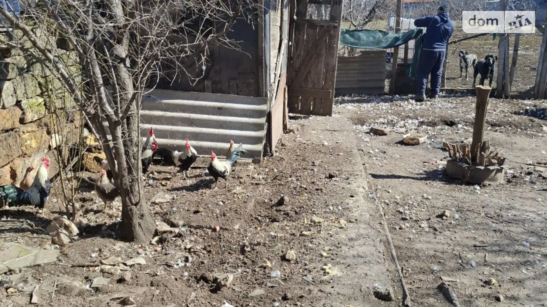 Продается одноэтажный дом 49.7 кв. м с верандой, цена: 27000 $ - фото 5