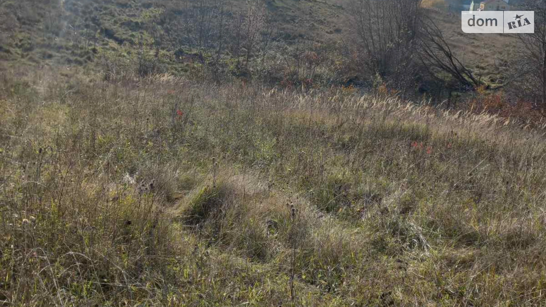 Продается земельный участок 10 соток в Хмельницкой области, цена: 10000 $ - фото 3