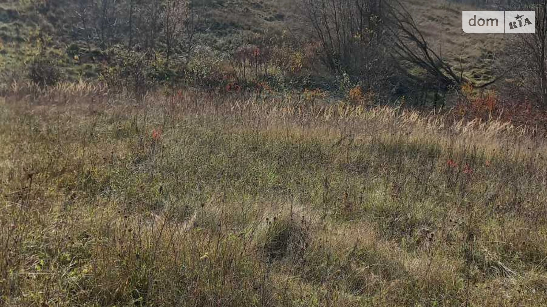 Продается земельный участок 10 соток в Хмельницкой области, цена: 10000 $ - фото 2