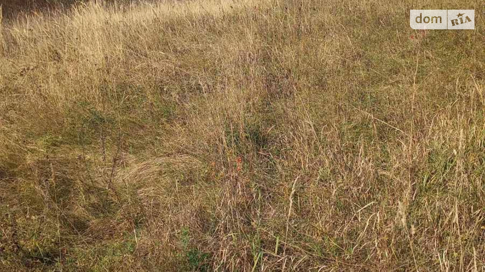 Продается земельный участок 10 соток в Хмельницкой области, цена: 10000 $ - фото 5