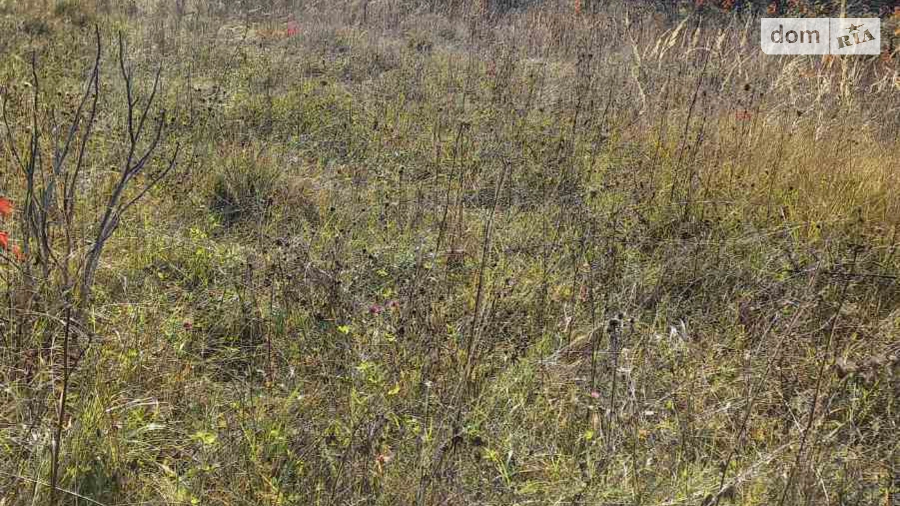 Продается земельный участок 10 соток в Хмельницкой области, цена: 10000 $ - фото 4