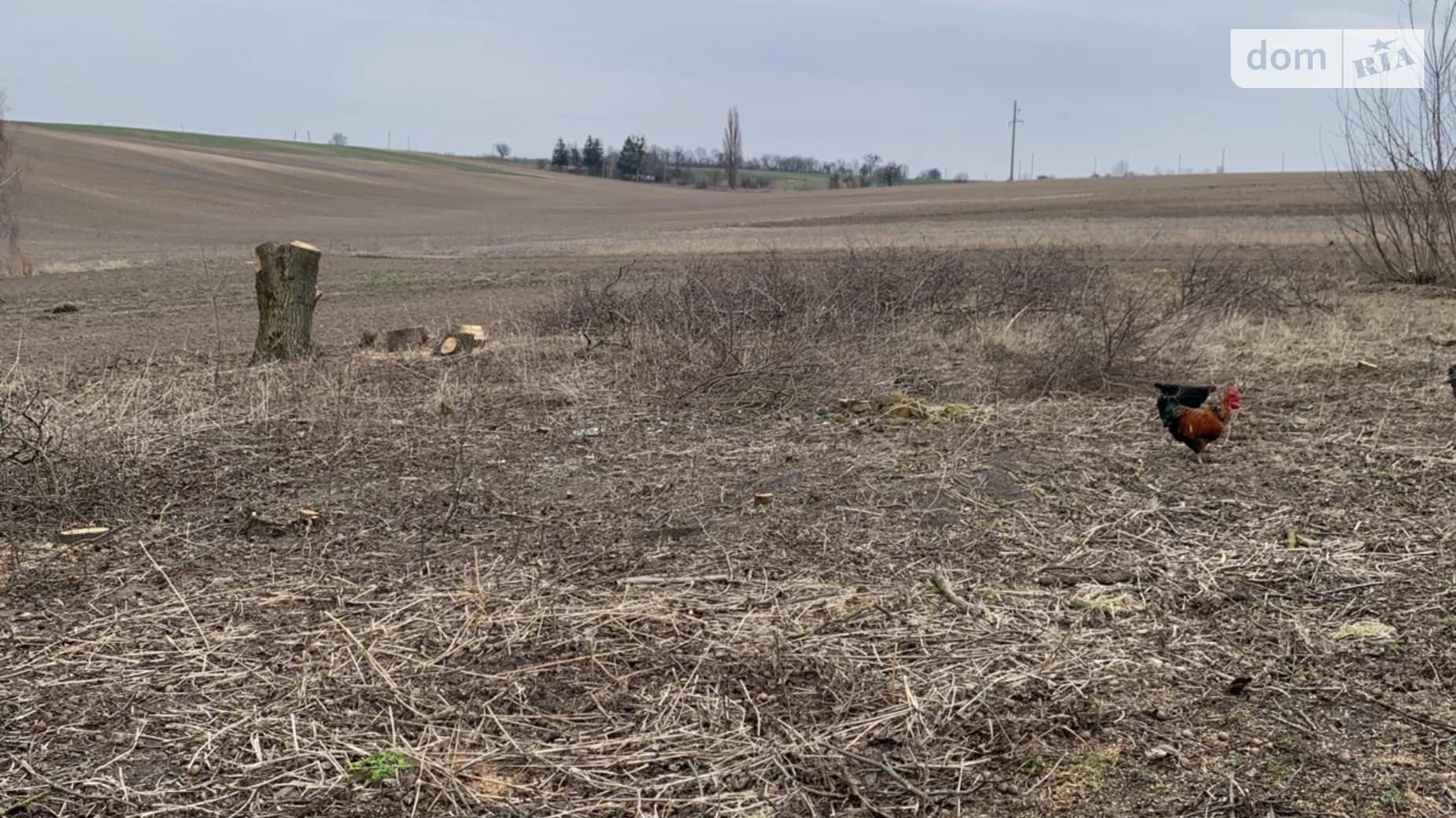 Продается земельный участок 47.9 соток в Волынской области, цена: 12000 $ - фото 2