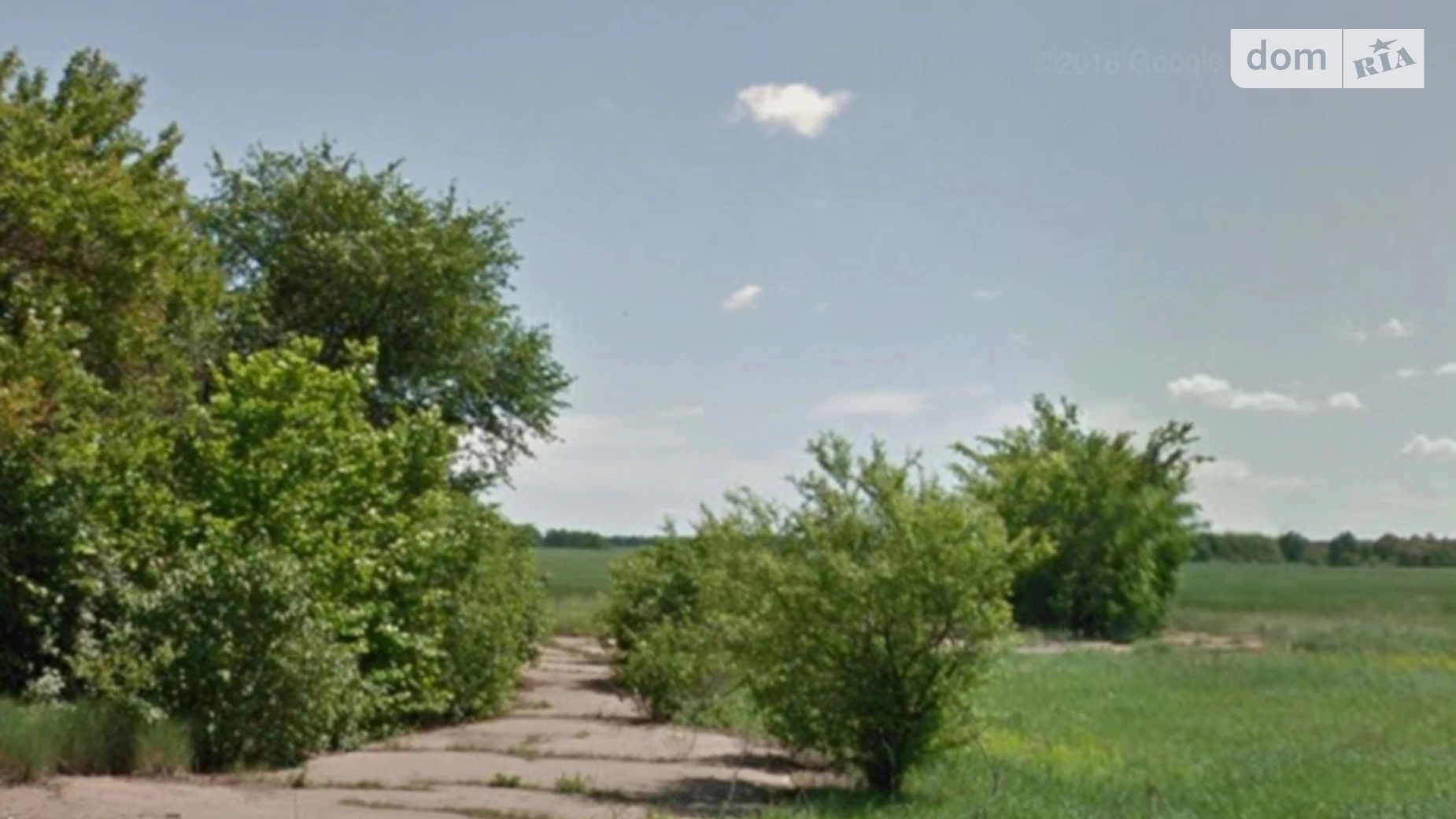 Продается земельный участок 30 соток в Черниговской области, цена: 10000 $ - фото 3