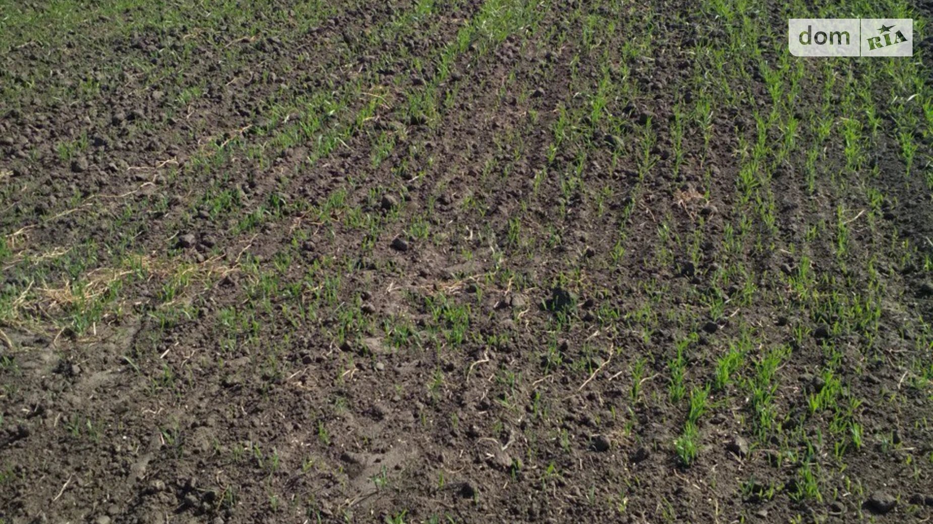 Продается земельный участок 14 соток в Киевской области, цена: 7000 $ - фото 3