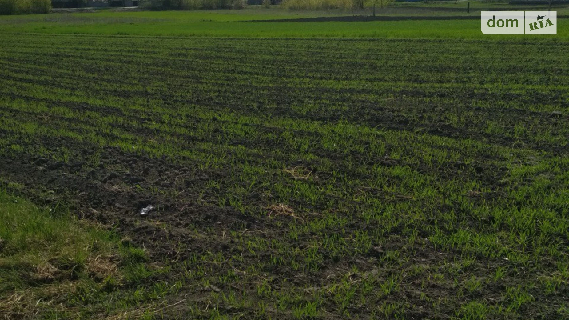 Продается земельный участок 14 соток в Киевской области, цена: 7000 $ - фото 4