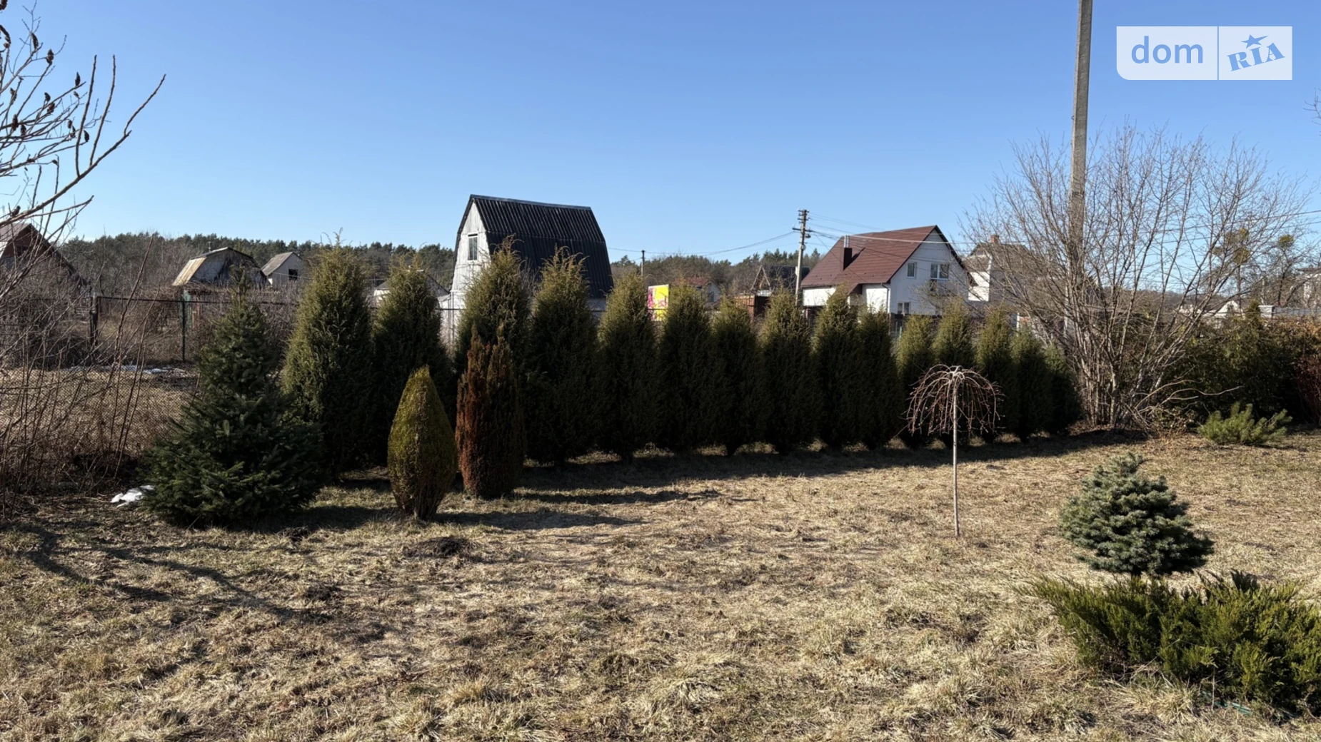 Кірова Жабка, цена: 12000 грн - фото 3