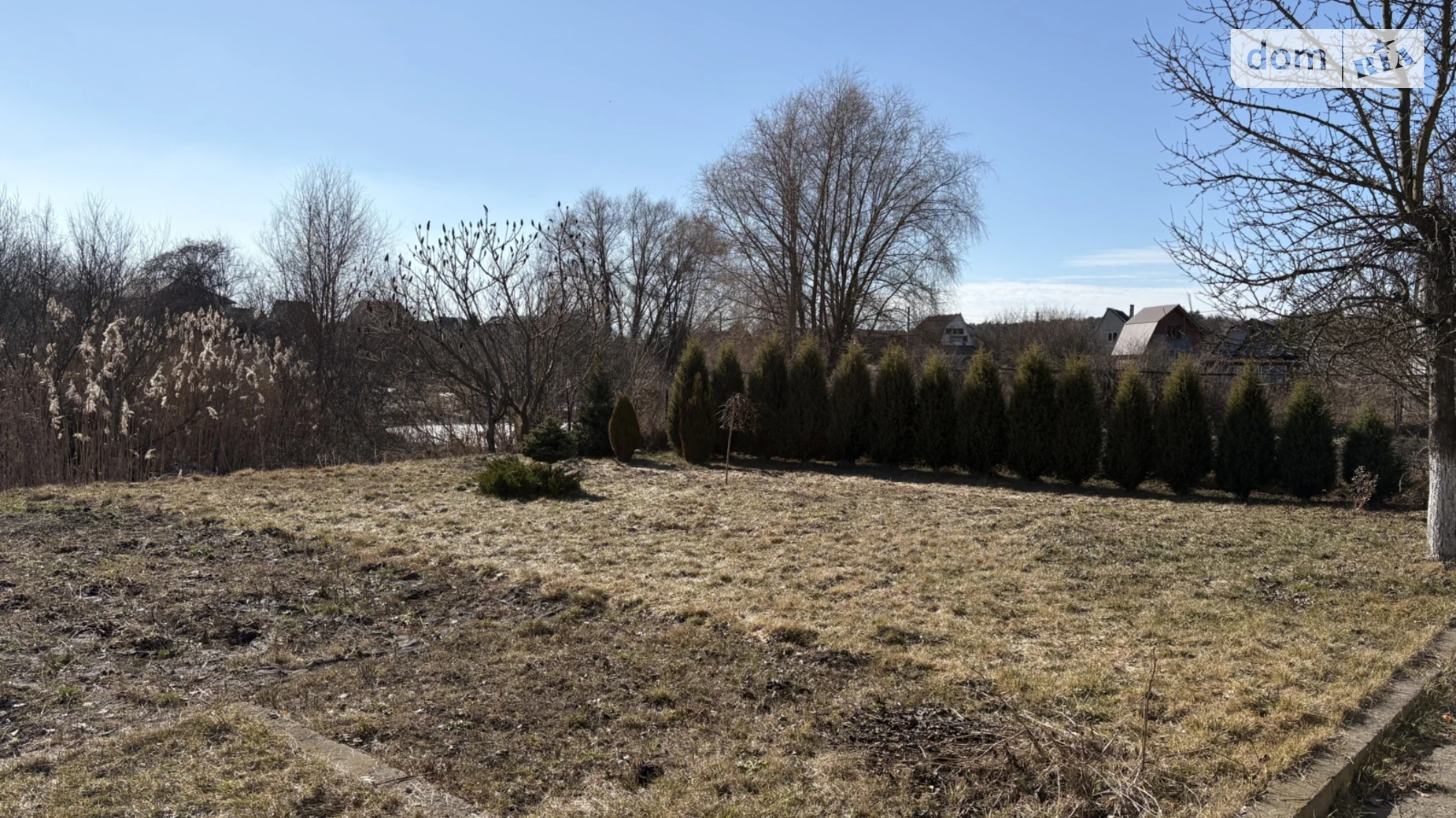 Кірова Жабка, цена: 12000 грн - фото 4