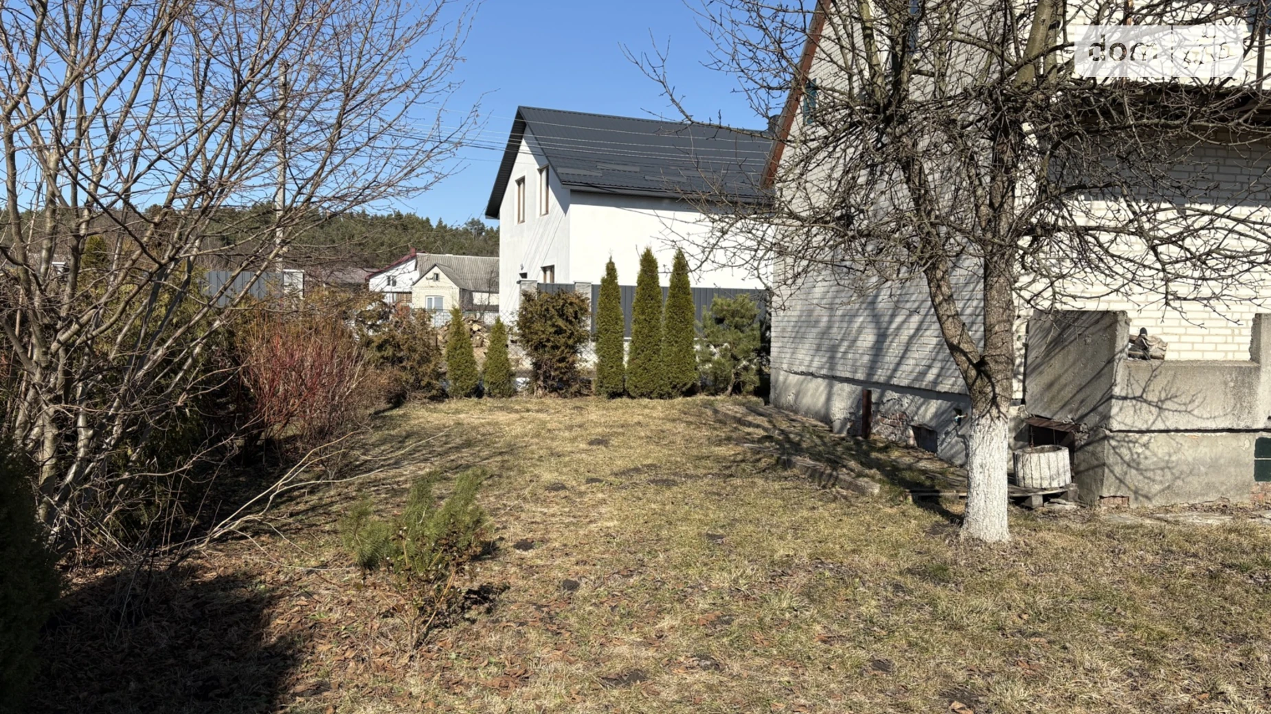 Кірова Жабка, цена: 12000 грн - фото 5