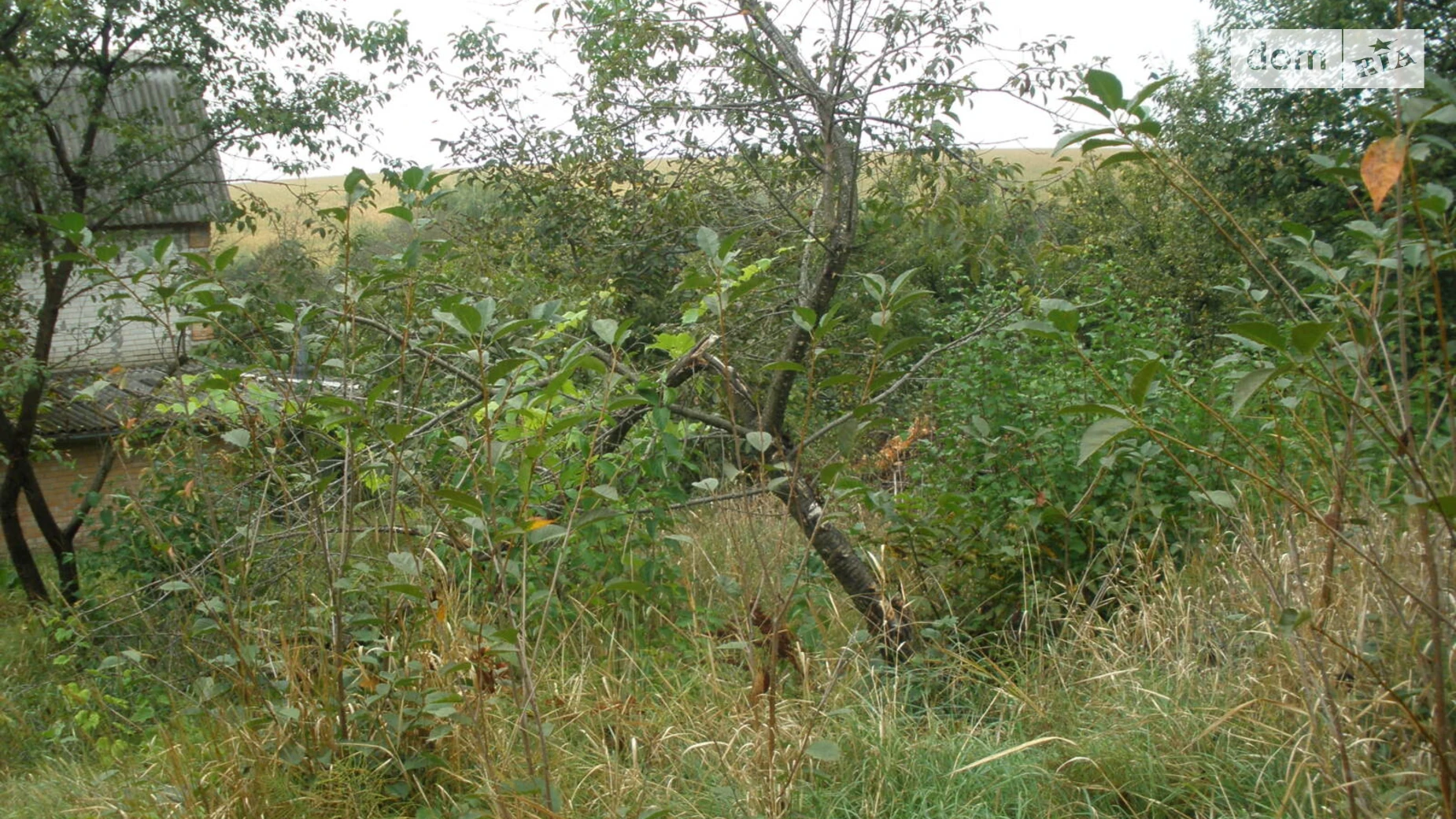 Продается земельный участок 6 соток в Хмельницкой области, цена: 6000 $ - фото 5