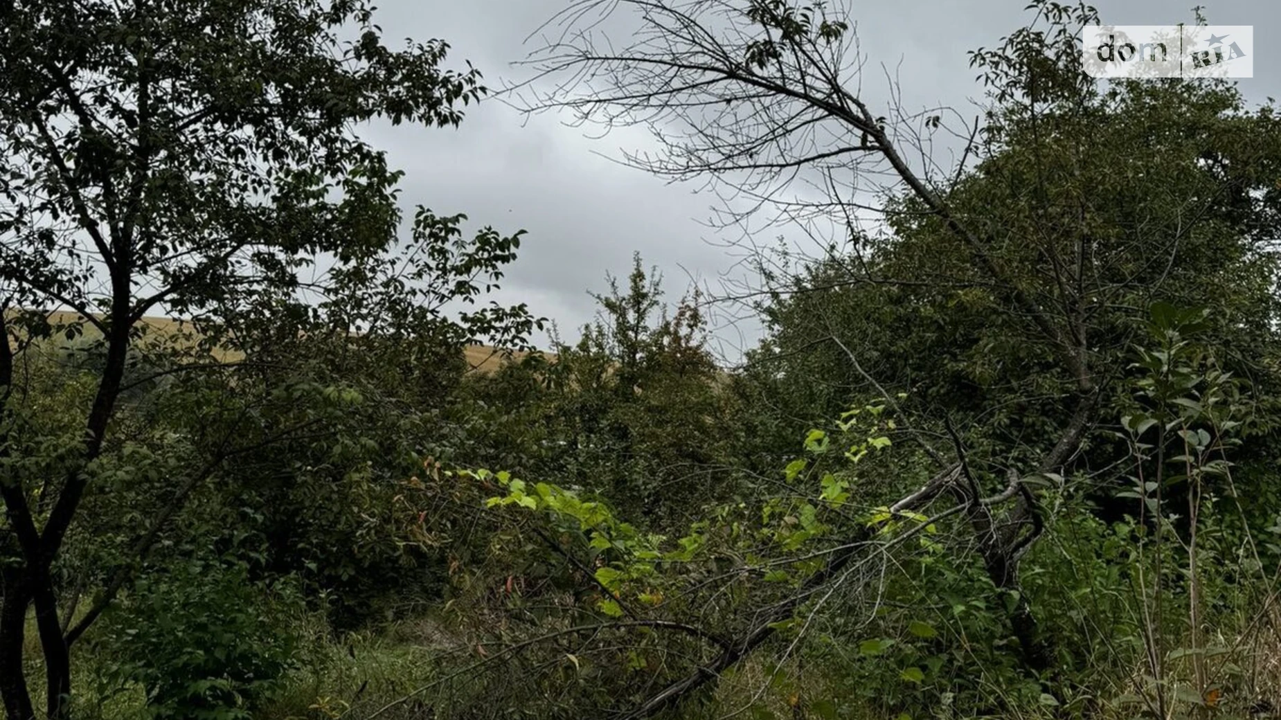 Продается земельный участок 6 соток в Хмельницкой области, цена: 6000 $ - фото 2