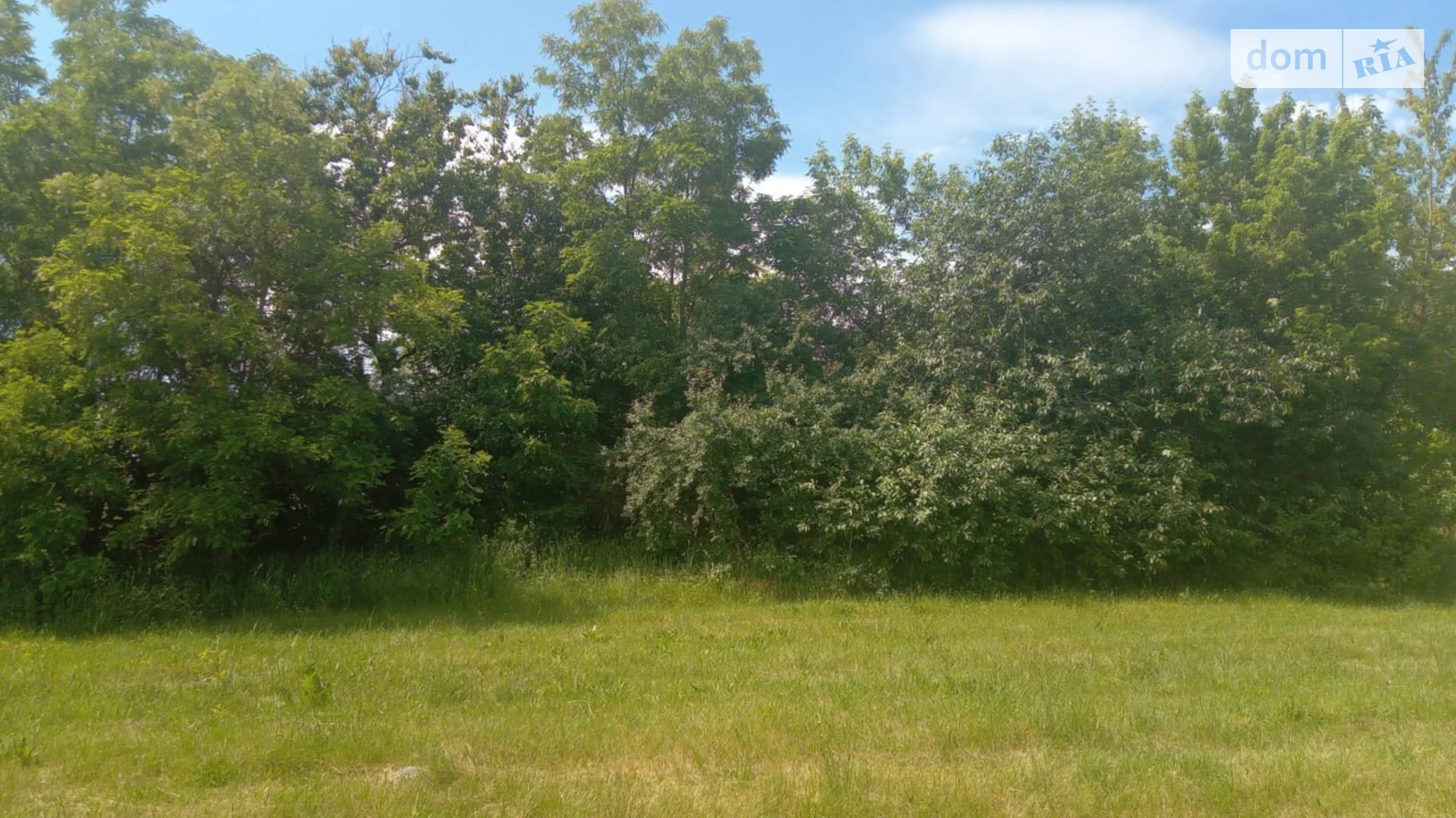 ул. Шевченко Юров, цена: 20000 $ - фото 2