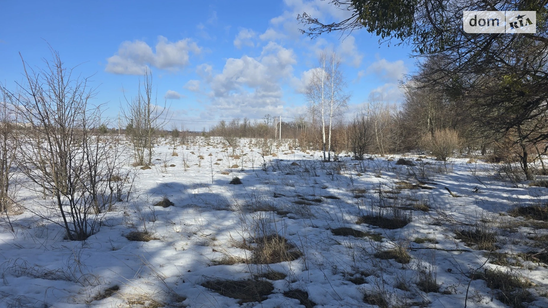 Продается земельный участок 9.66 соток в Житомирской области, цена: 30000 $ - фото 4
