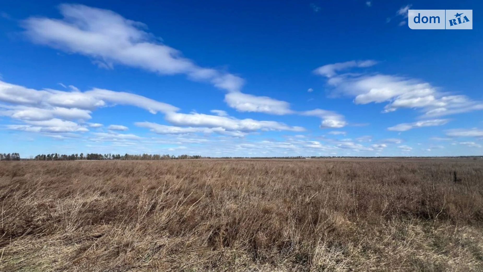 Продается земельный участок 1.4633 соток в Киевской области, цена: 38000 $ - фото 2