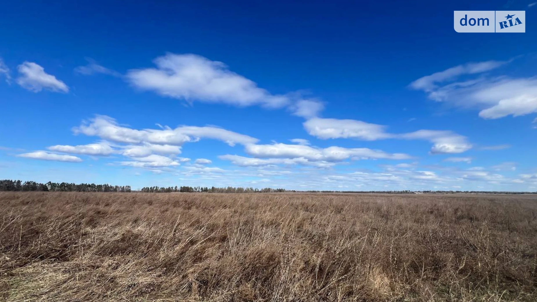 Продается земельный участок 1.4633 соток в Киевской области, цена: 38000 $ - фото 3