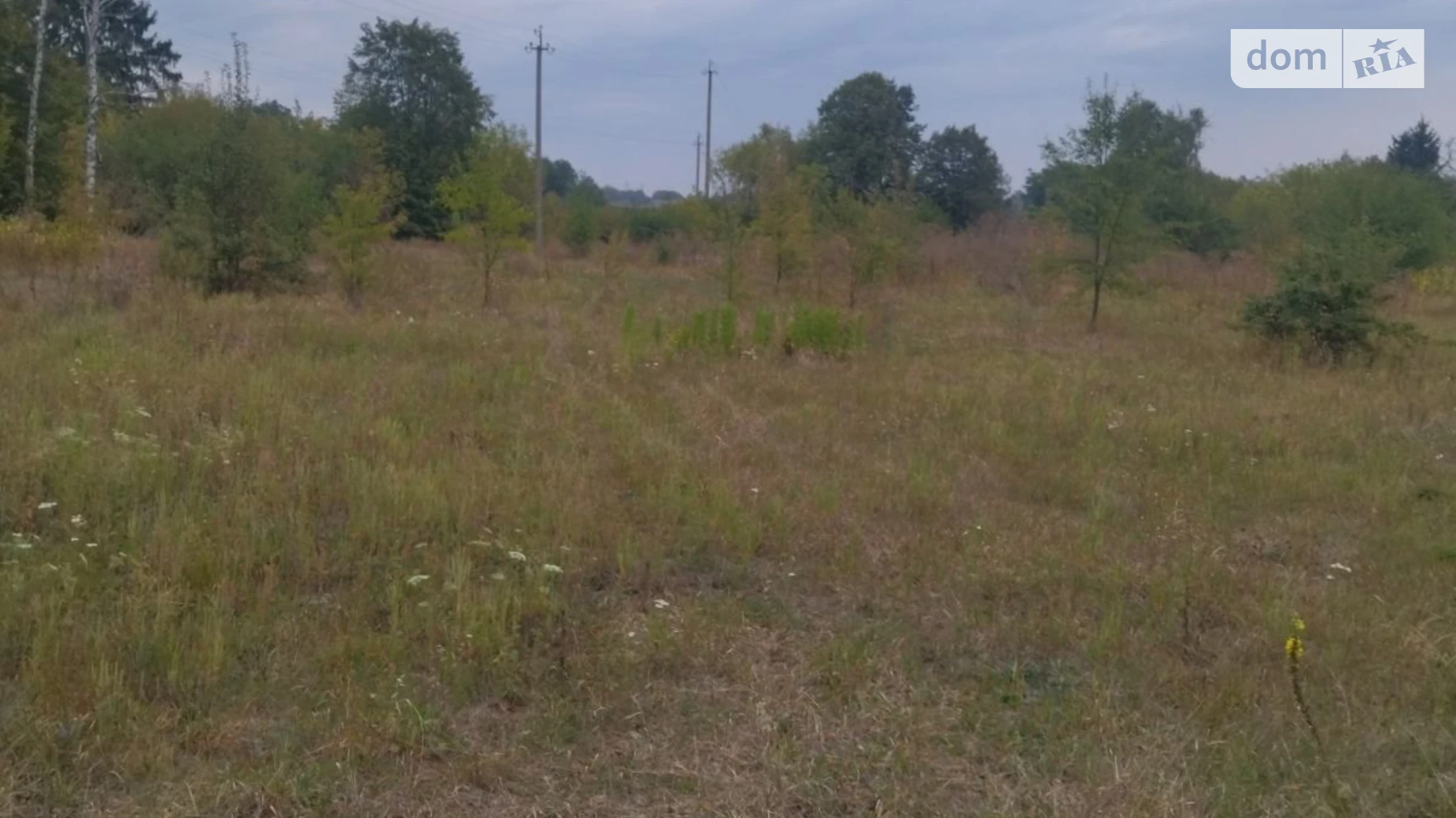 Сдается в аренду земельный участок 0.6036 соток в Черкасской области, цена: 988 грн - фото 2