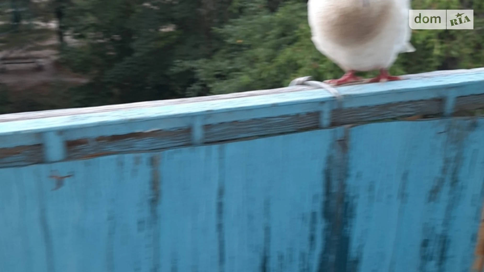 Сдается в аренду 1-комнатная квартира 32 кв. м в Виннице, просп. Космонавтов, 17 - фото 5