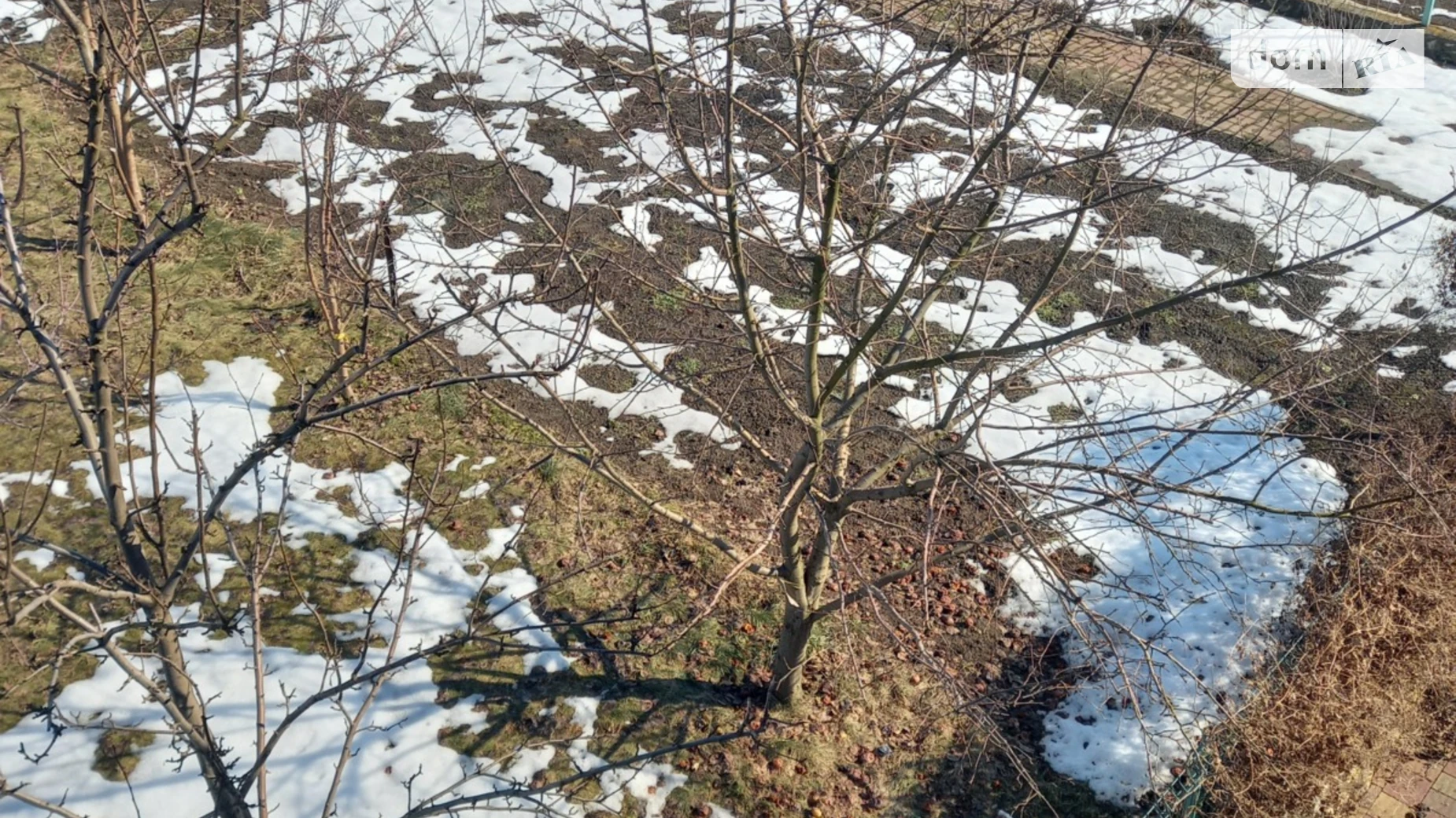 Продается дом на 2 этажа 75 кв. м с мансардой, цена: 55000 $ - фото 4