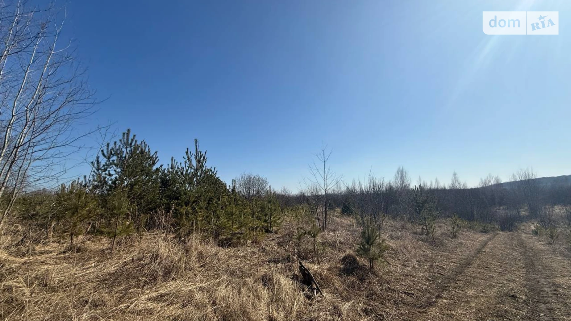 Продается земельный участок 12 соток в Хмельницкой области, цена: 18000 $ - фото 2